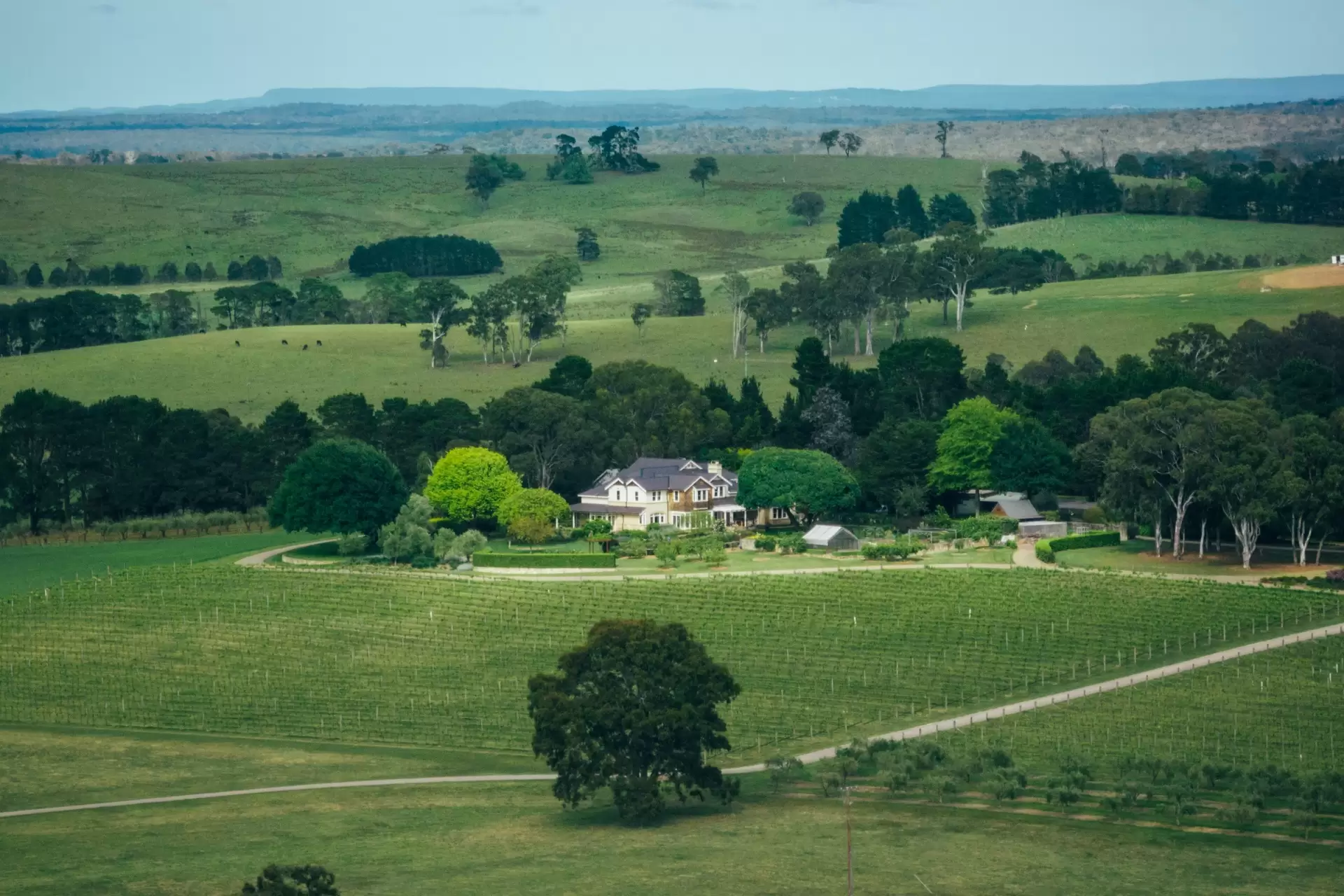 35 Mandemar Lane, Mandemar Sold by Sydney Sotheby's International Realty - image 6
