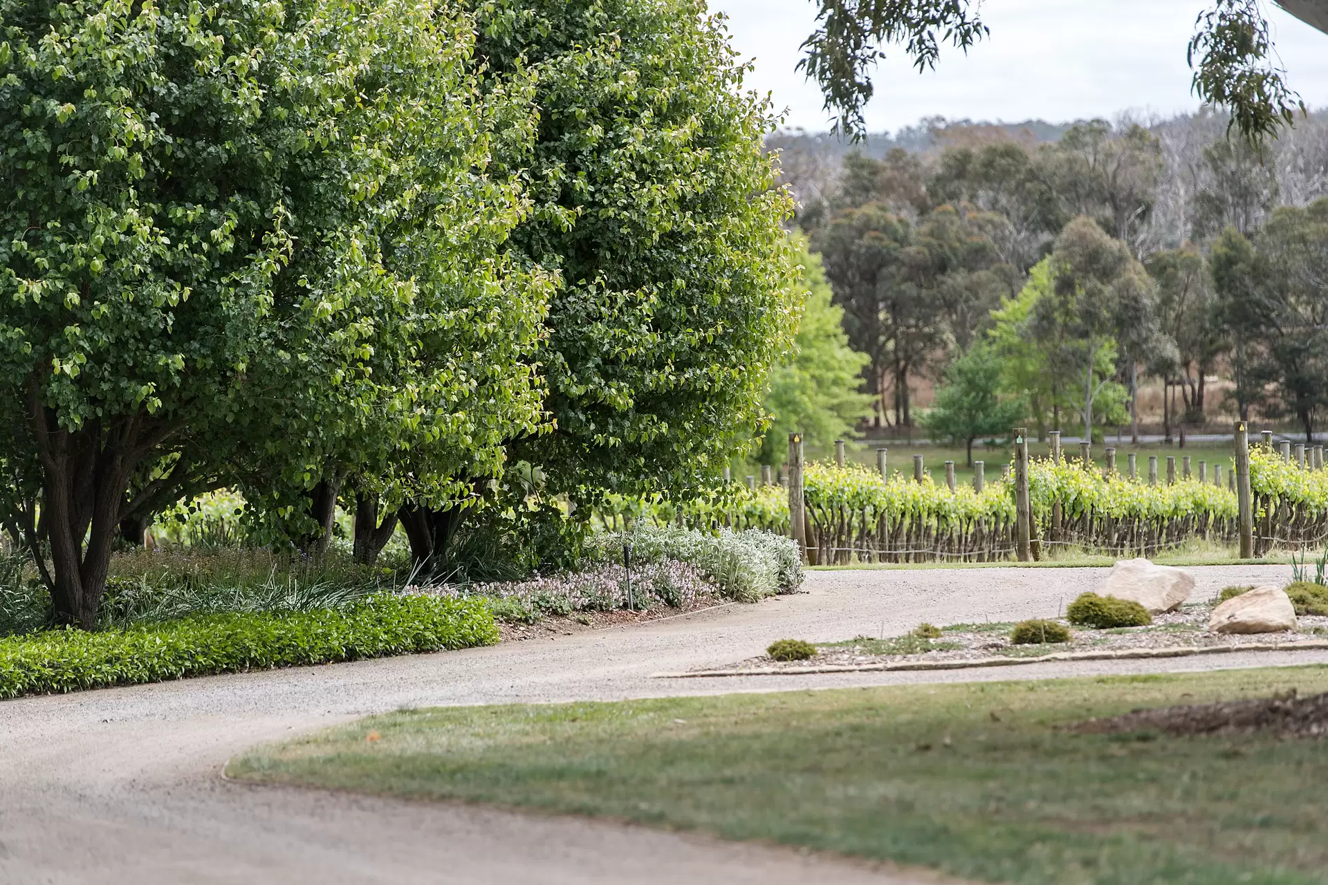 35 Mandemar Lane, Mandemar Sold by Sydney Sotheby's International Realty - image 31