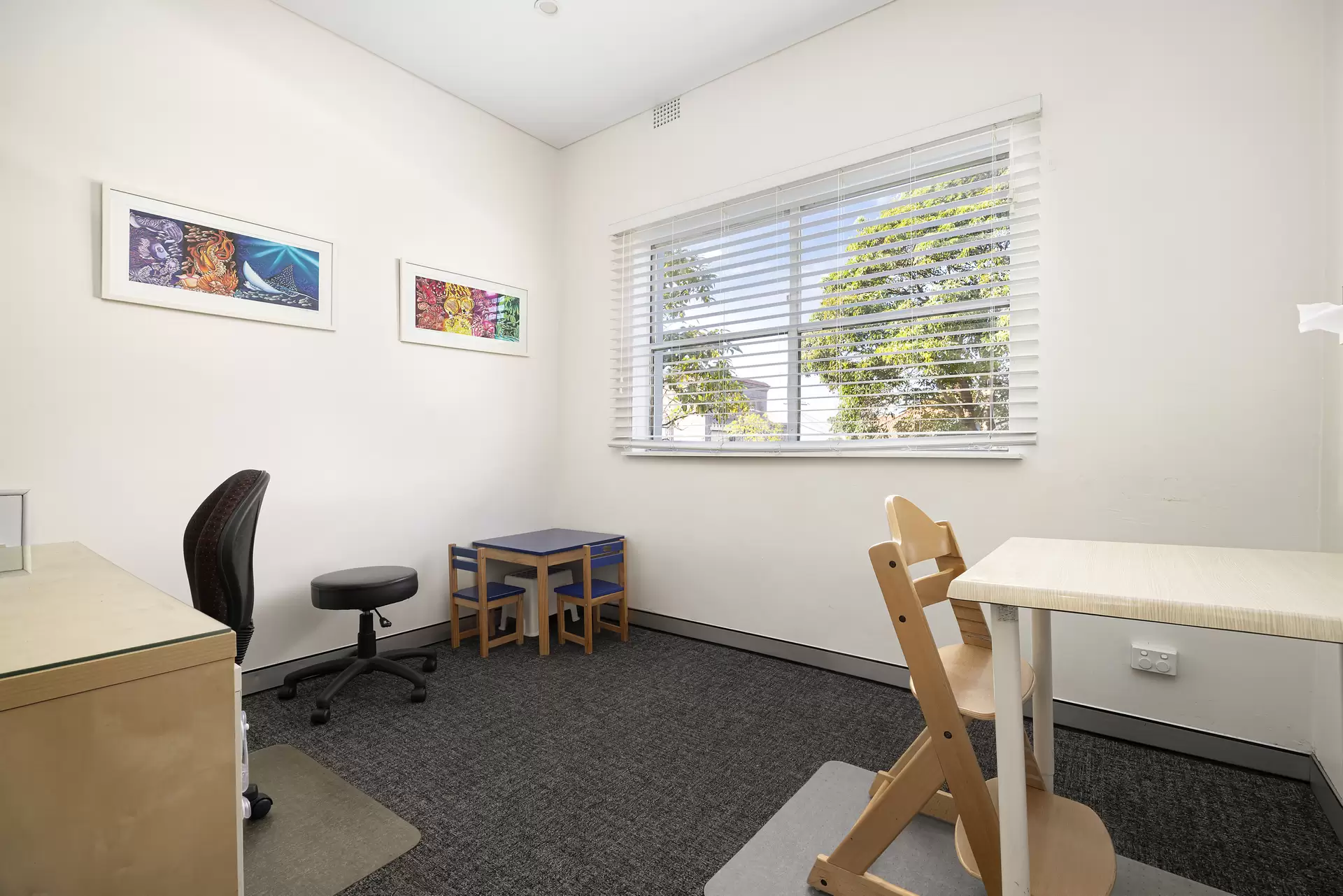 48B Canberra Street, Randwick For Sale by Sydney Sotheby's International Realty - image 1