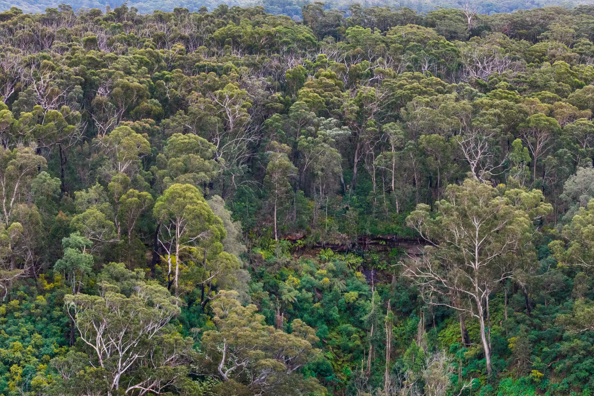 161 Teudts Road, Bundanoon For Sale by Sydney Sotheby's International Realty - image 9