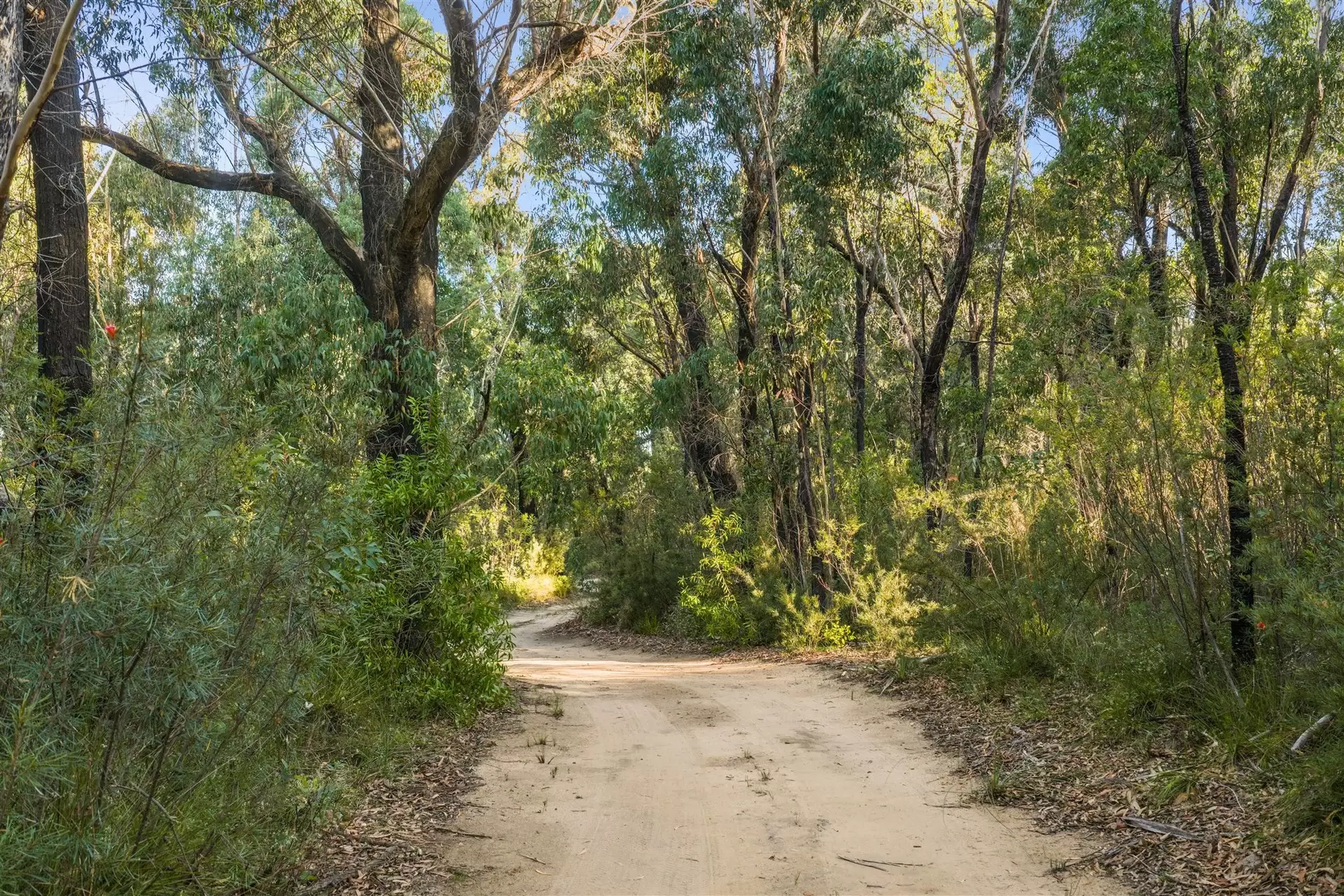 161 Teudts Road, Bundanoon For Sale by Sydney Sotheby's International Realty - image 8