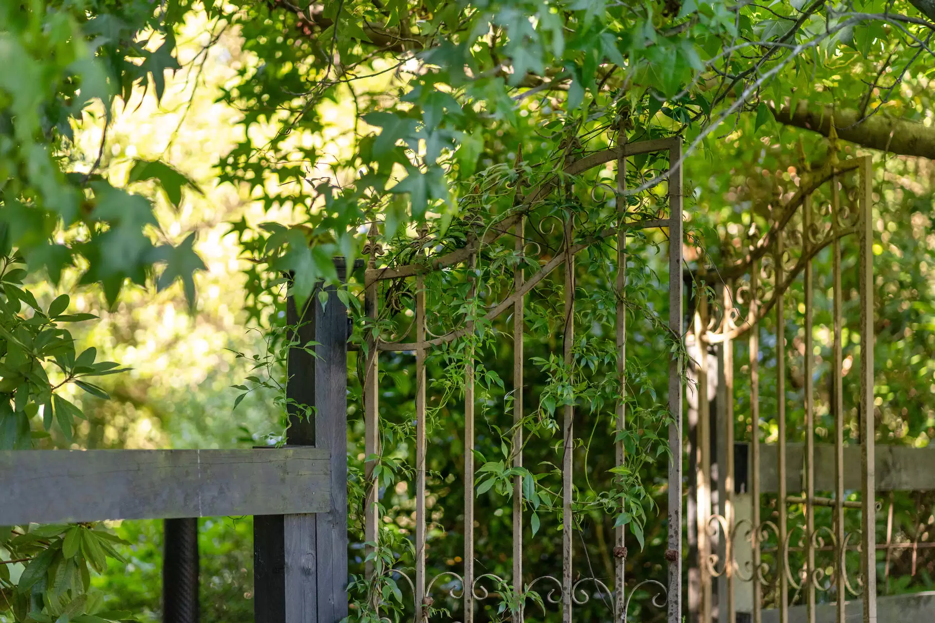 14-16 Hambridge Road, Yerrinbool Sold by Sydney Sotheby's International Realty - image 29