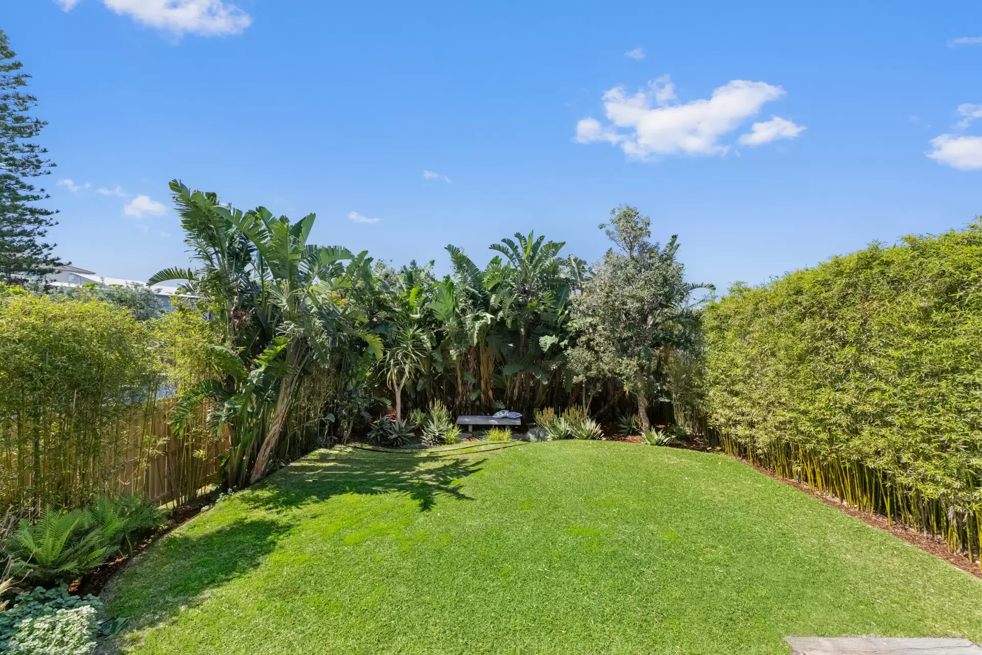 1 Wilson Street, Maroubra Sold by Sydney Sotheby's International Realty - image 6