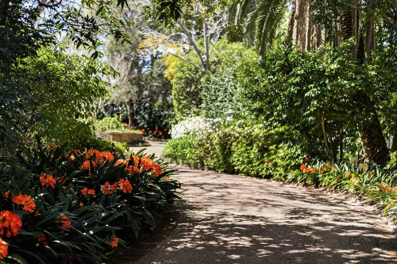 9 Pibrac Avenue, Warrawee Sold by Sydney Sotheby's International Realty - image 33