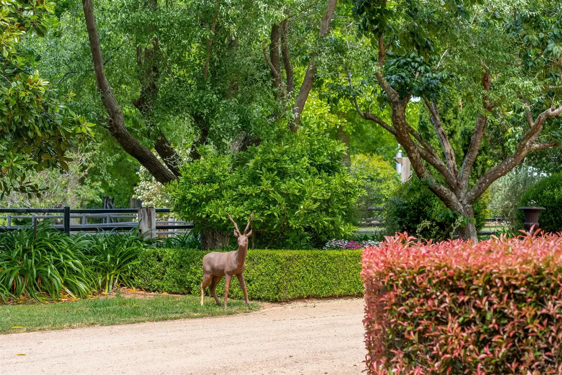 227 Somerset Road, Fitzroy Falls For Sale by Sydney Sotheby's International Realty - image 22