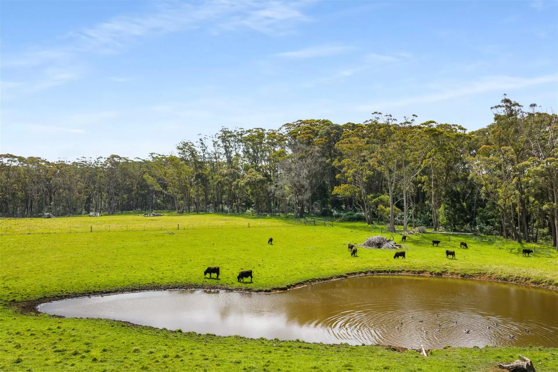 227 Somerset Road, Fitzroy Falls For Sale by Sydney Sotheby's International Realty - image 30