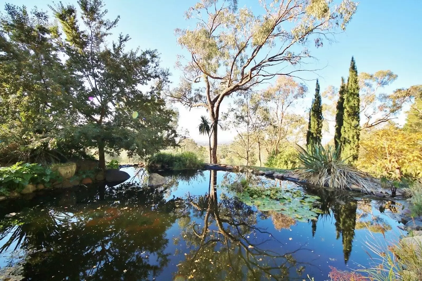 435 Conrod Straight, Bathurst Sold by Sydney Sotheby's International Realty - image 17