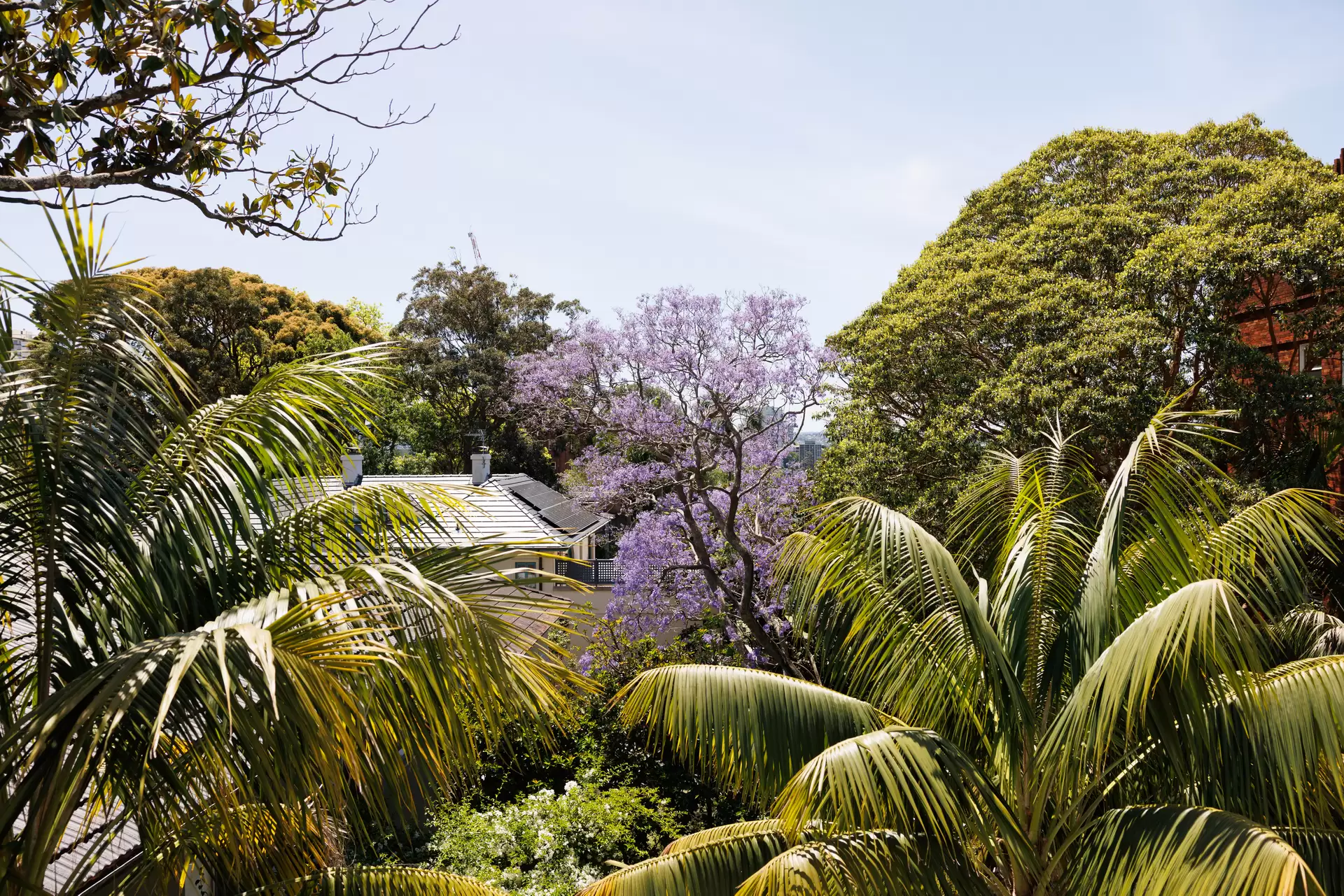 1/24 Rosemont Avenue, Woollahra Sold by Sydney Sotheby's International Realty - image 1