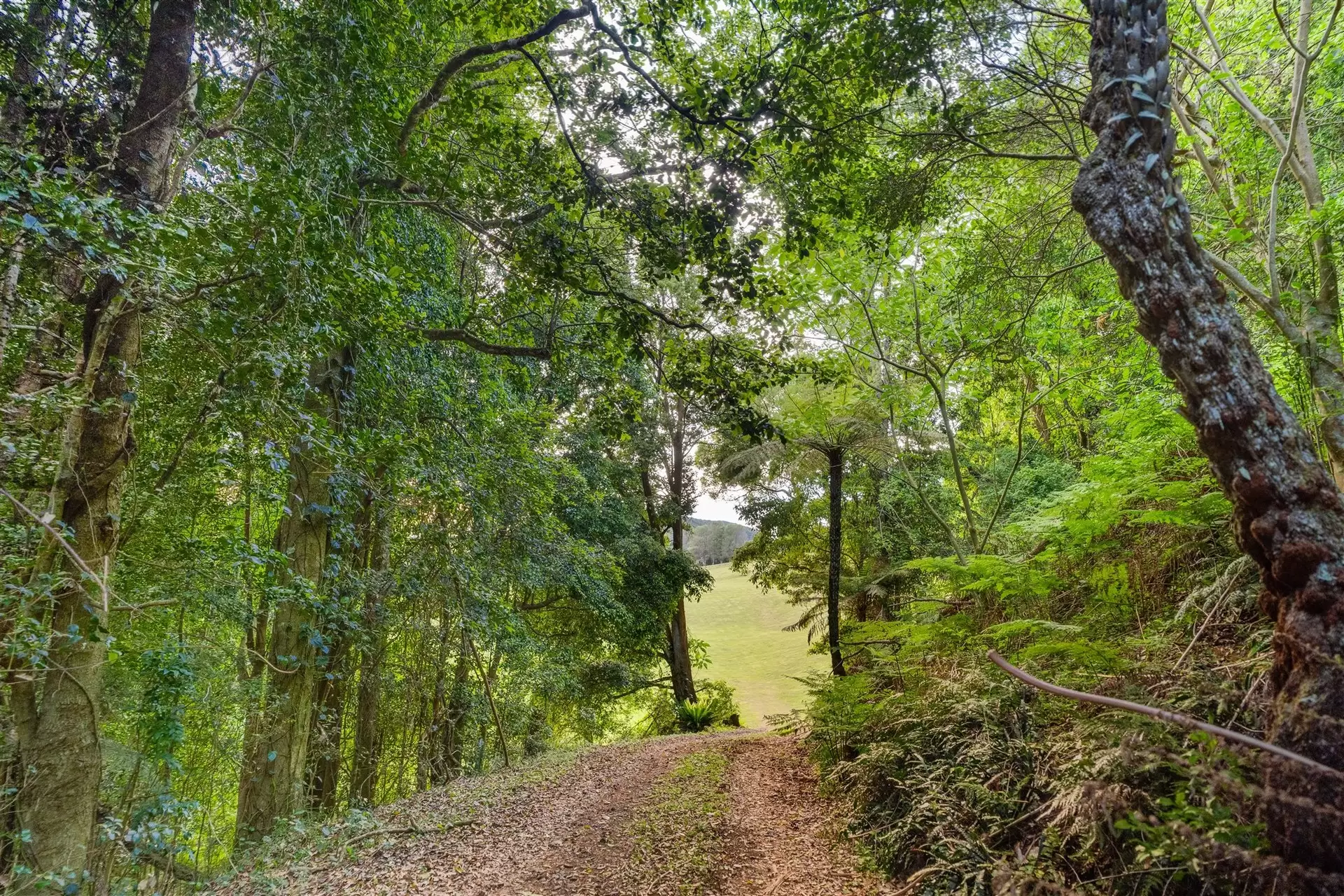 71 Nuninuna Drive, Jamberoo For Sale by Sydney Sotheby's International Realty - image 9