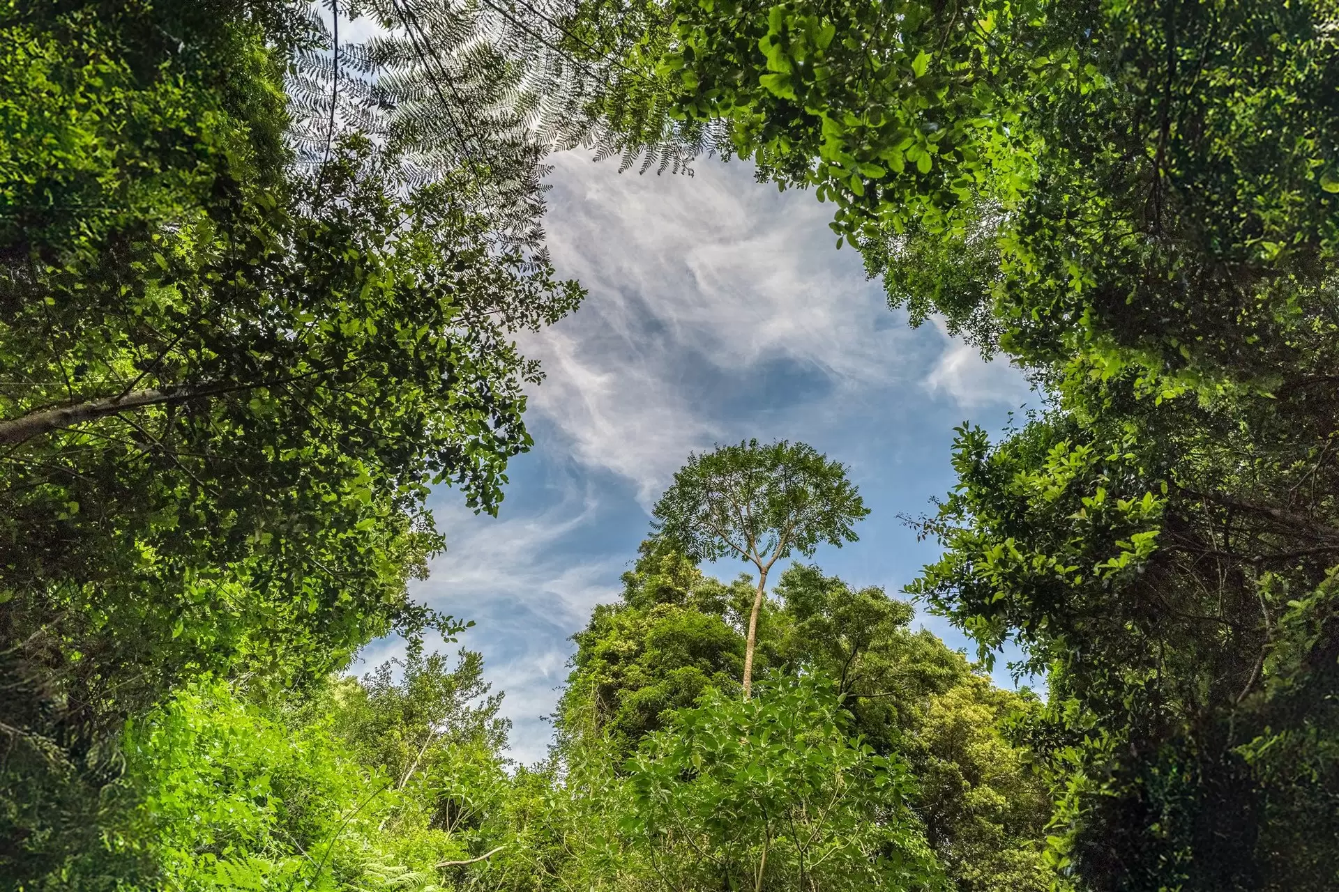 71 Nuninuna Drive, Jamberoo For Sale by Sydney Sotheby's International Realty - image 7