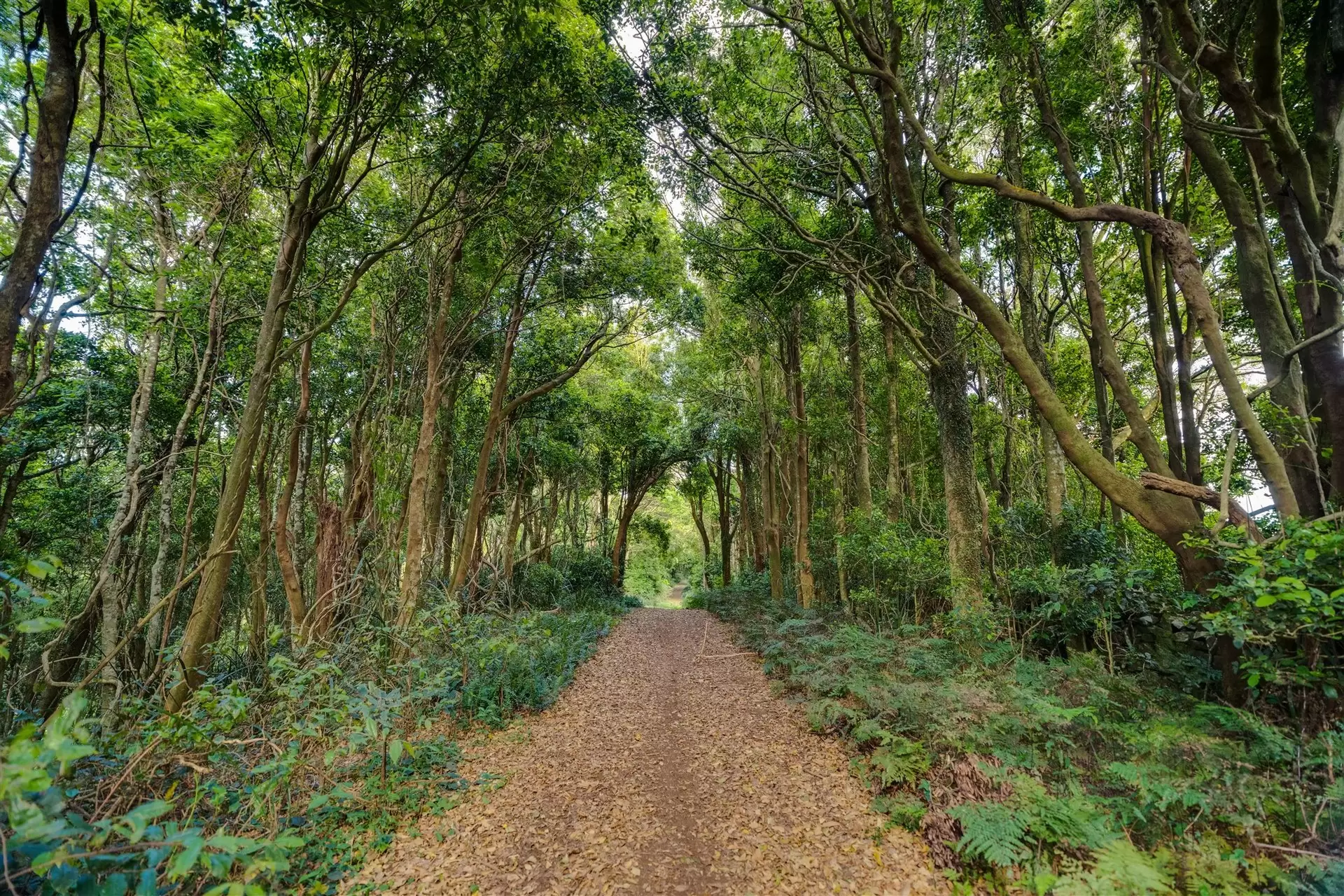 71 Nuninuna Drive, Jamberoo For Sale by Sydney Sotheby's International Realty - image 6