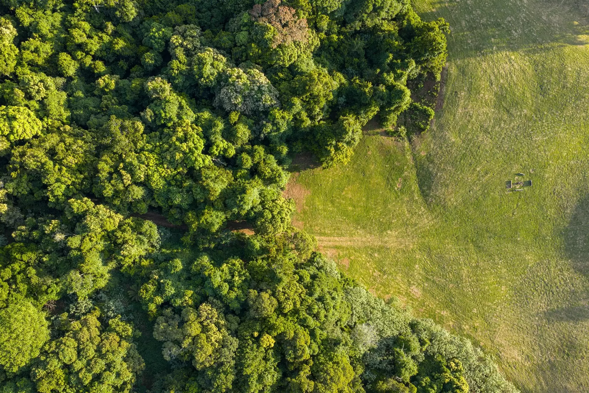 71 Nuninuna Drive, Jamberoo For Sale by Sydney Sotheby's International Realty - image 12