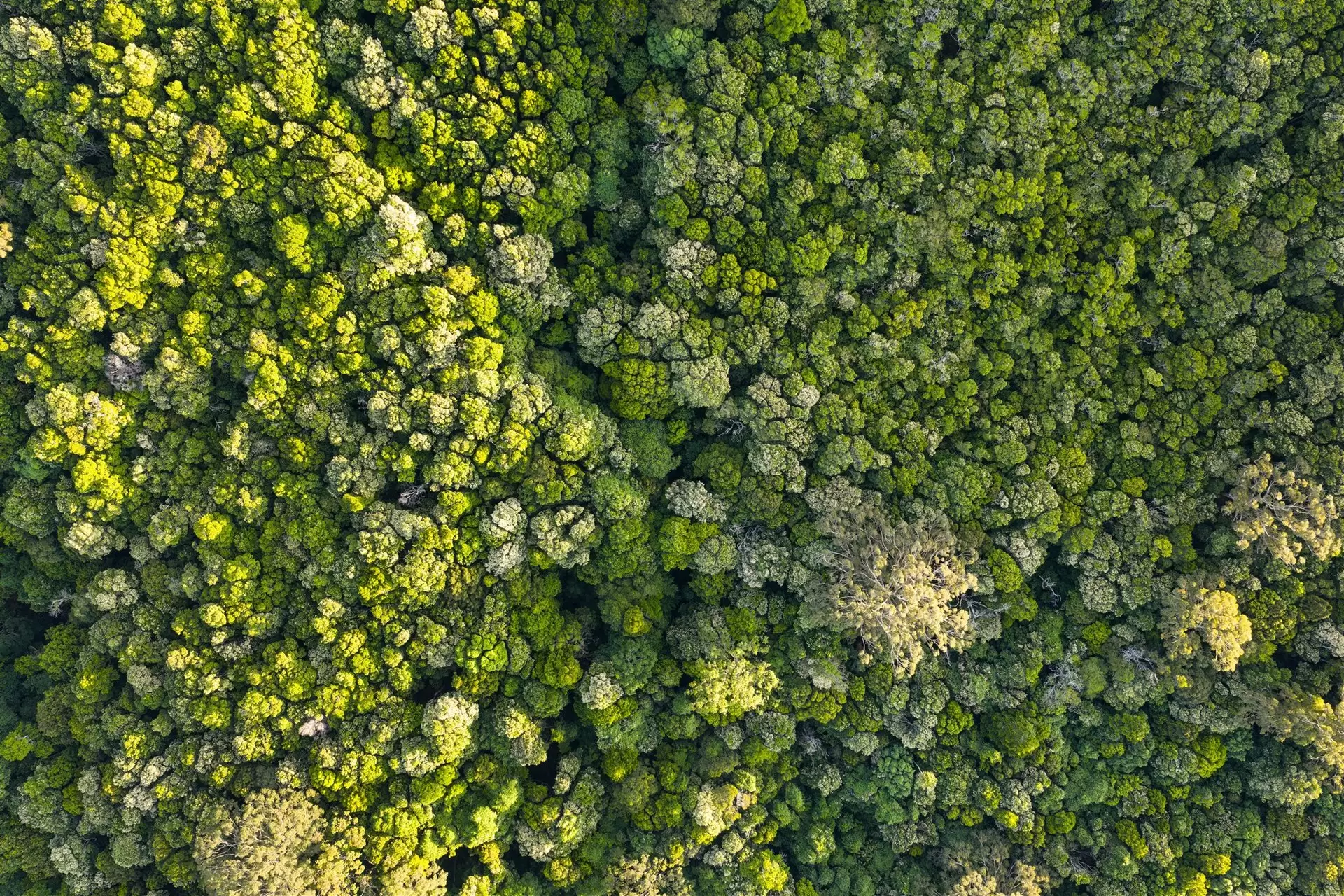 71 Nuninuna Drive, Jamberoo For Sale by Sydney Sotheby's International Realty - image 11