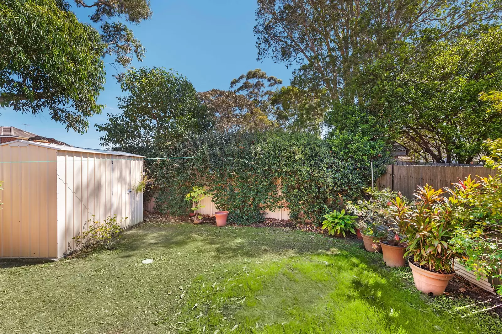 6 Kenny Avenue, Chifley Sold by Sydney Sotheby's International Realty - image 8