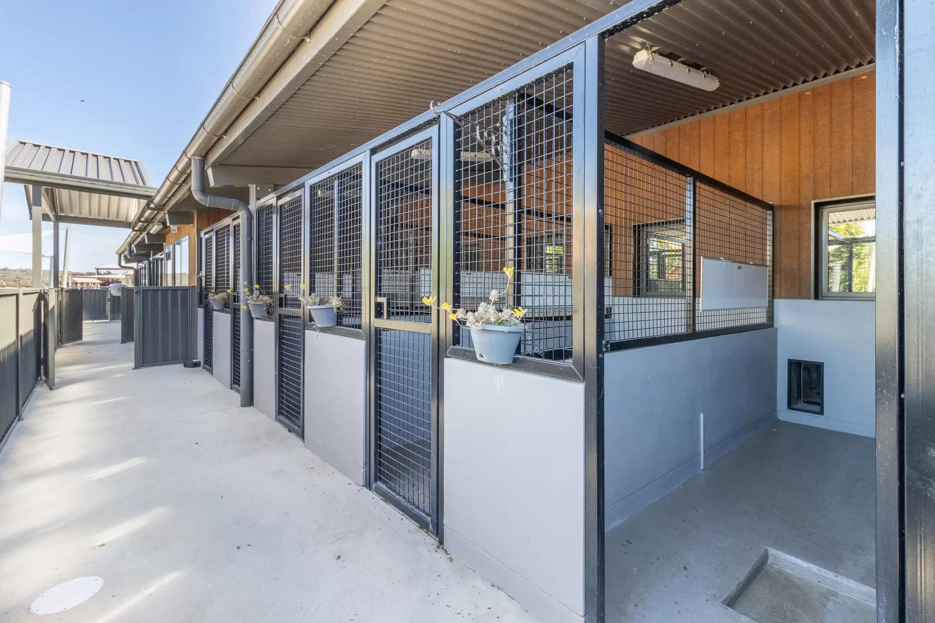 1557 Rockley Road, Fosters Valley Auction by Sydney Sotheby's International Realty - image 15