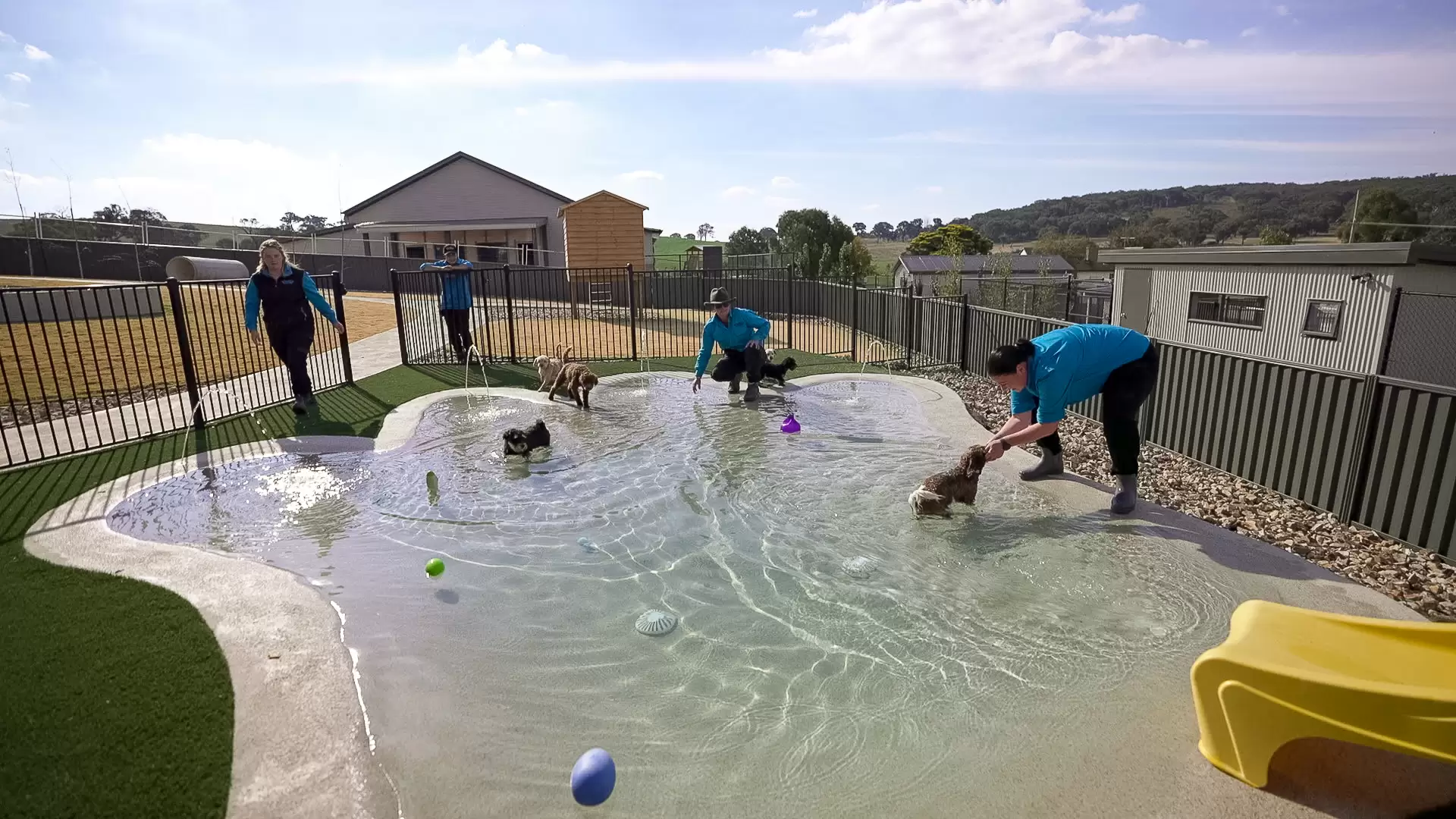 1557 Rockley Road, Fosters Valley Auction by Sydney Sotheby's International Realty - image 20