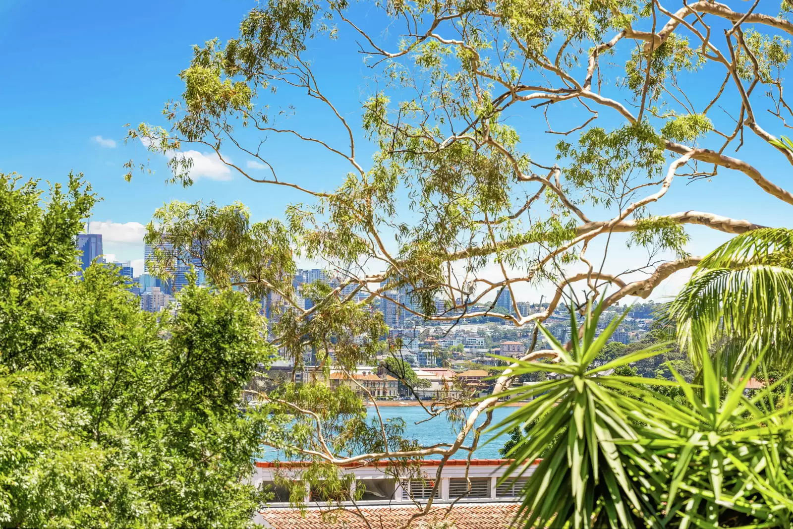 3/16 Yarranabbe Road, Darling Point Leased by Sydney Sotheby's International Realty - image 9