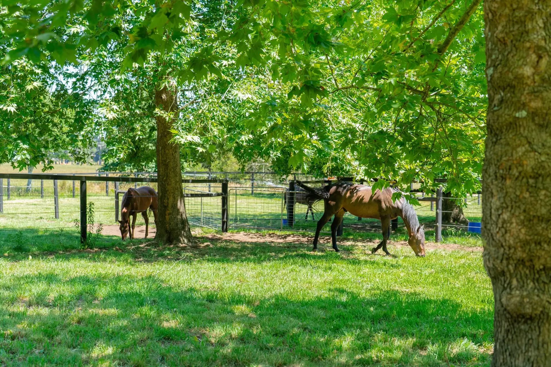 10 Church Street, Burrawang For Sale by Sydney Sotheby's International Realty - image 23