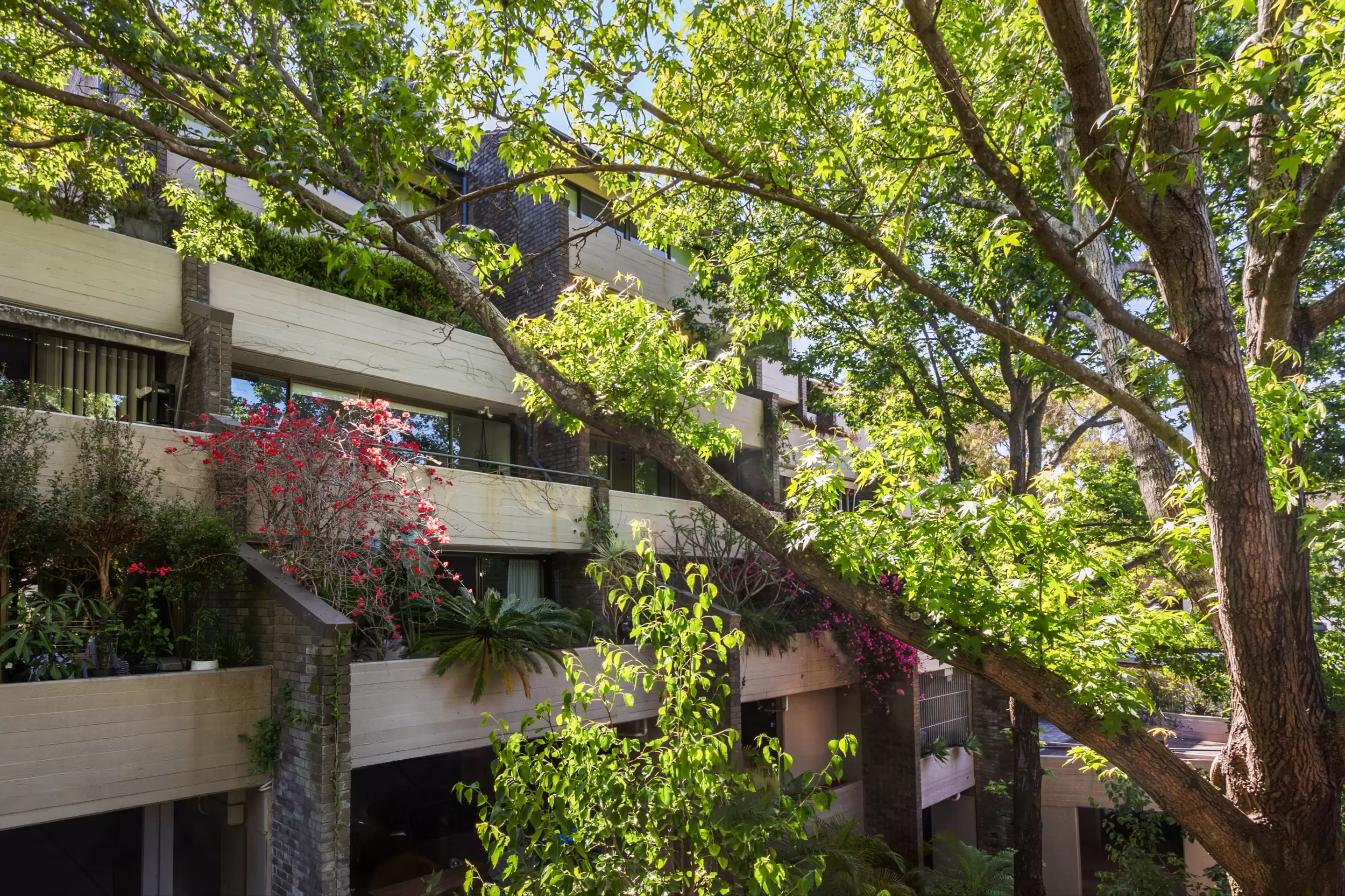 38/110 Cascade Street, Paddington Sold by Sydney Sotheby's International Realty - image 12