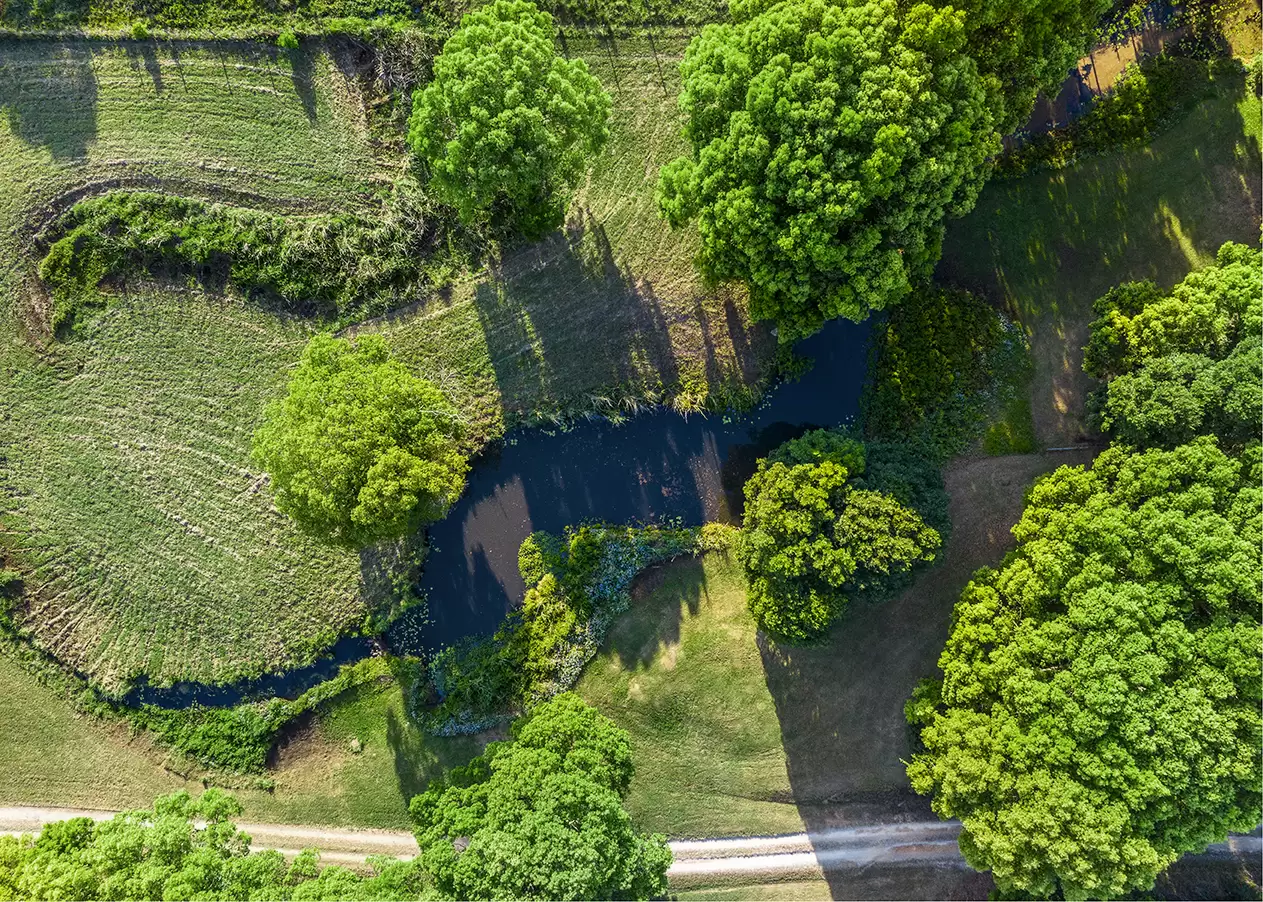 161 Myocum Road, Ewingsdale For Sale by Sydney Sotheby's International Realty - image 6