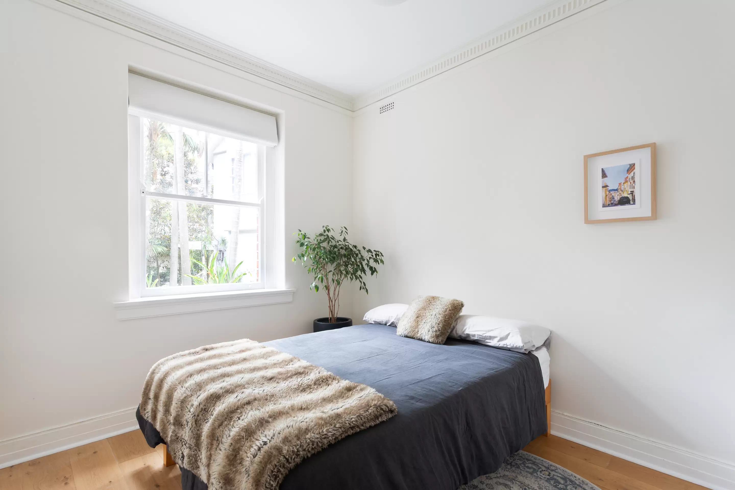 3/22 Ocean Avenue, Double Bay Auction by Sydney Sotheby's International Realty - image 12