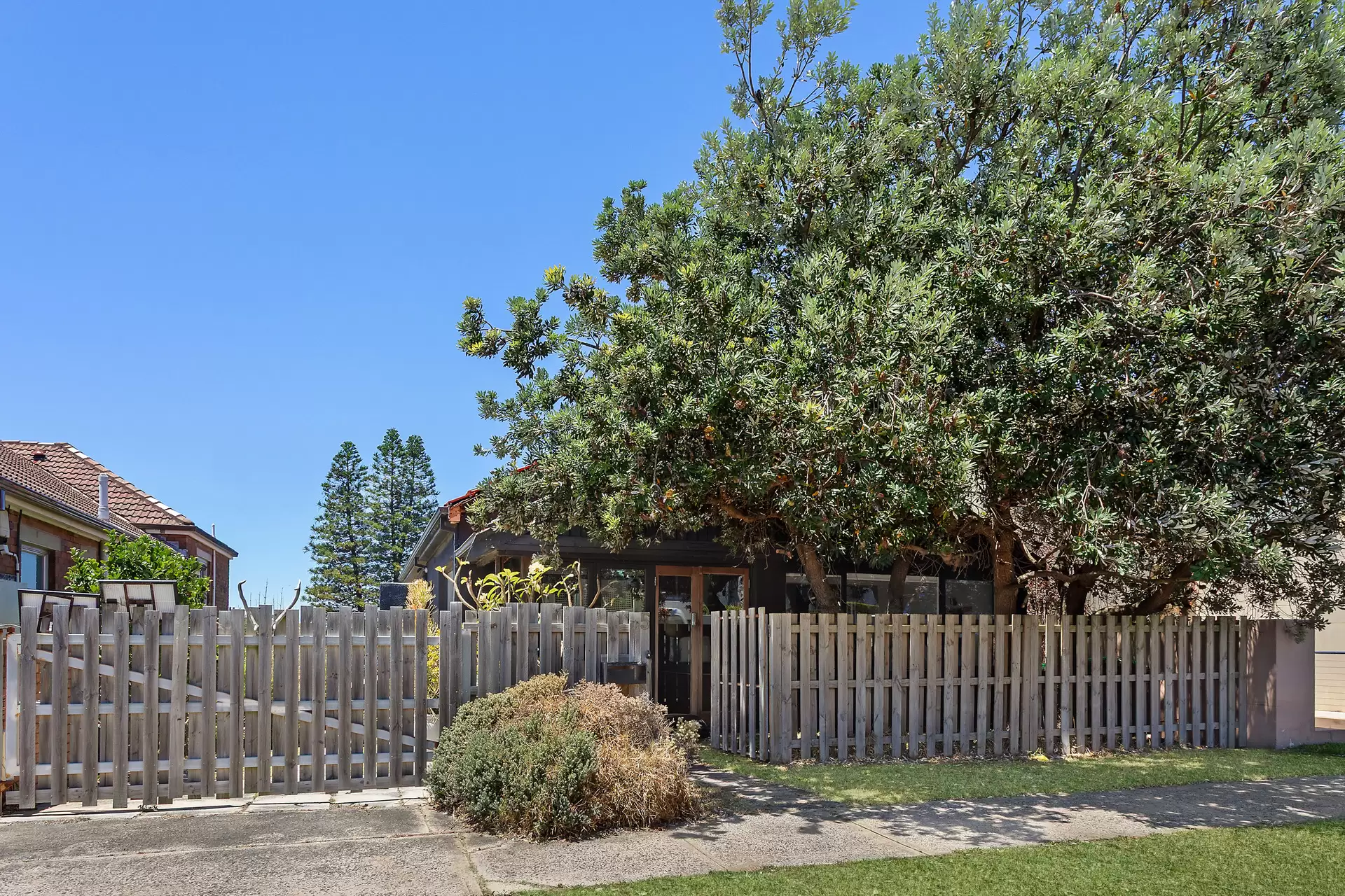 5 Wilson Street, Maroubra Auction by Sydney Sotheby's International Realty - image 17