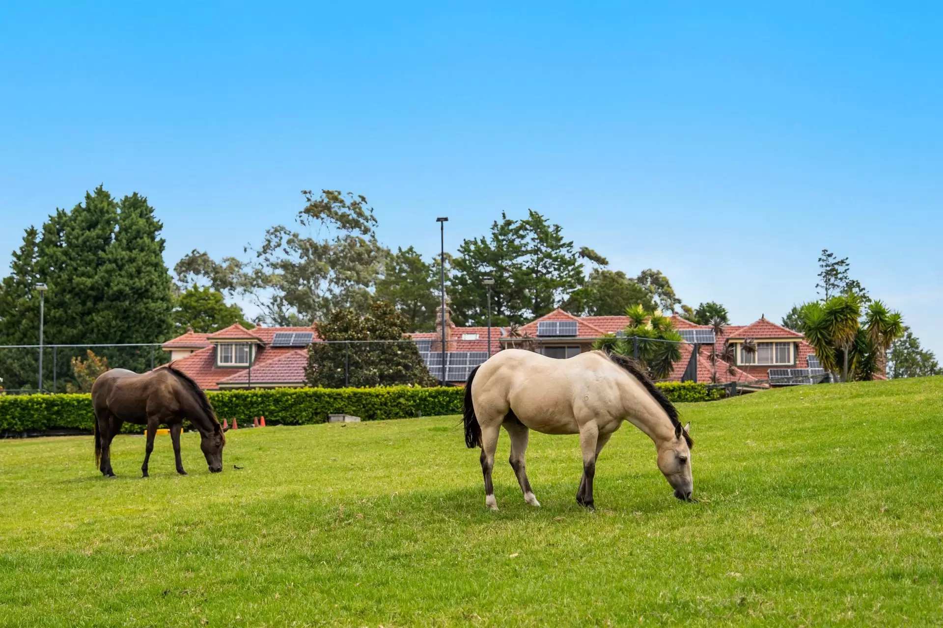 10 Bayfield Road, Galston Auction by Sydney Sotheby's International Realty - image 29