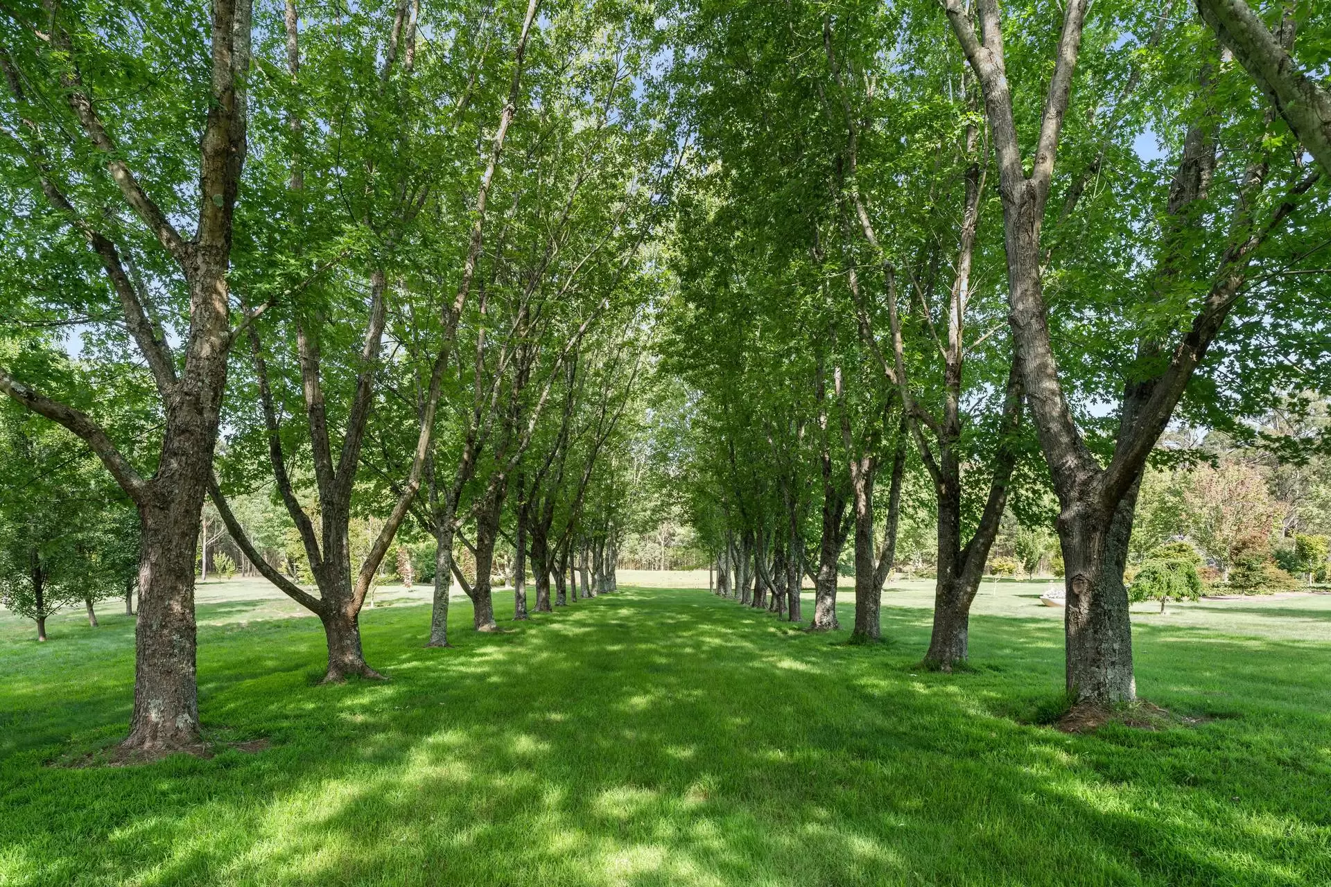 11 Evelyn Avenue, Bundanoon For Sale by Sydney Sotheby's International Realty - image 33