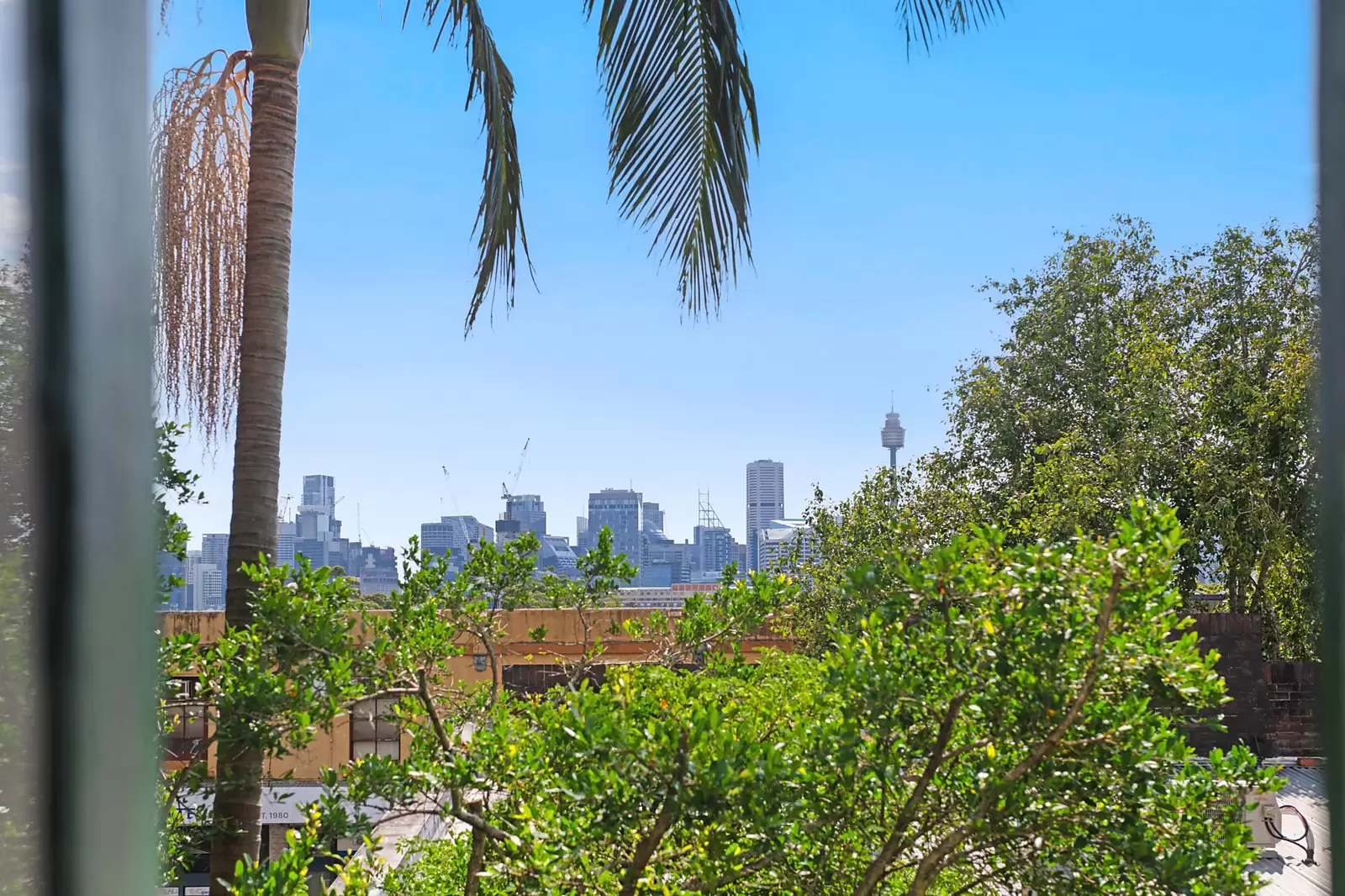 144 Glebe Point Road, Glebe For Sale by Sydney Sotheby's International Realty - image 14