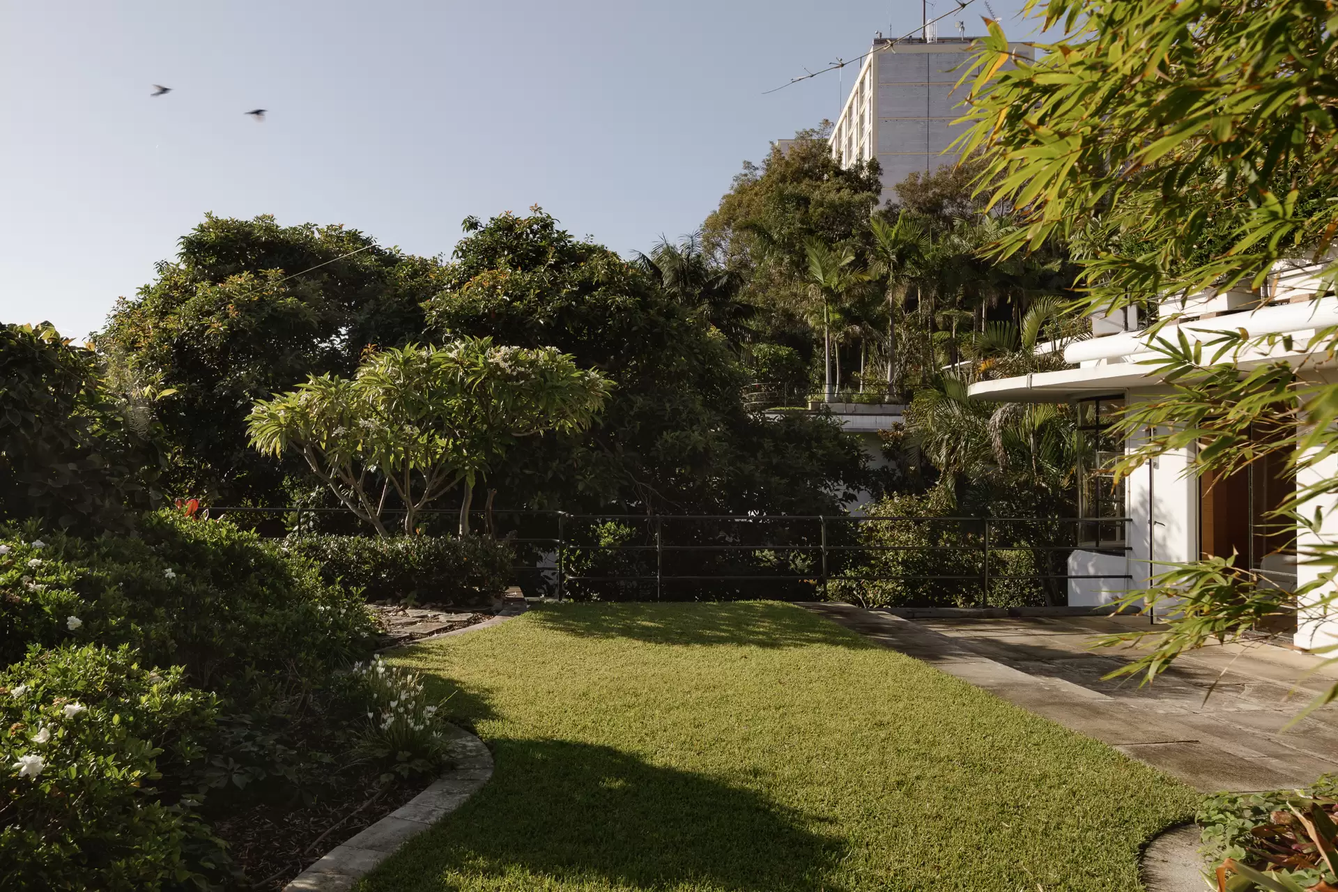 14/8a Wylde Street, Potts Point Auction by Sydney Sotheby's International Realty - image 8