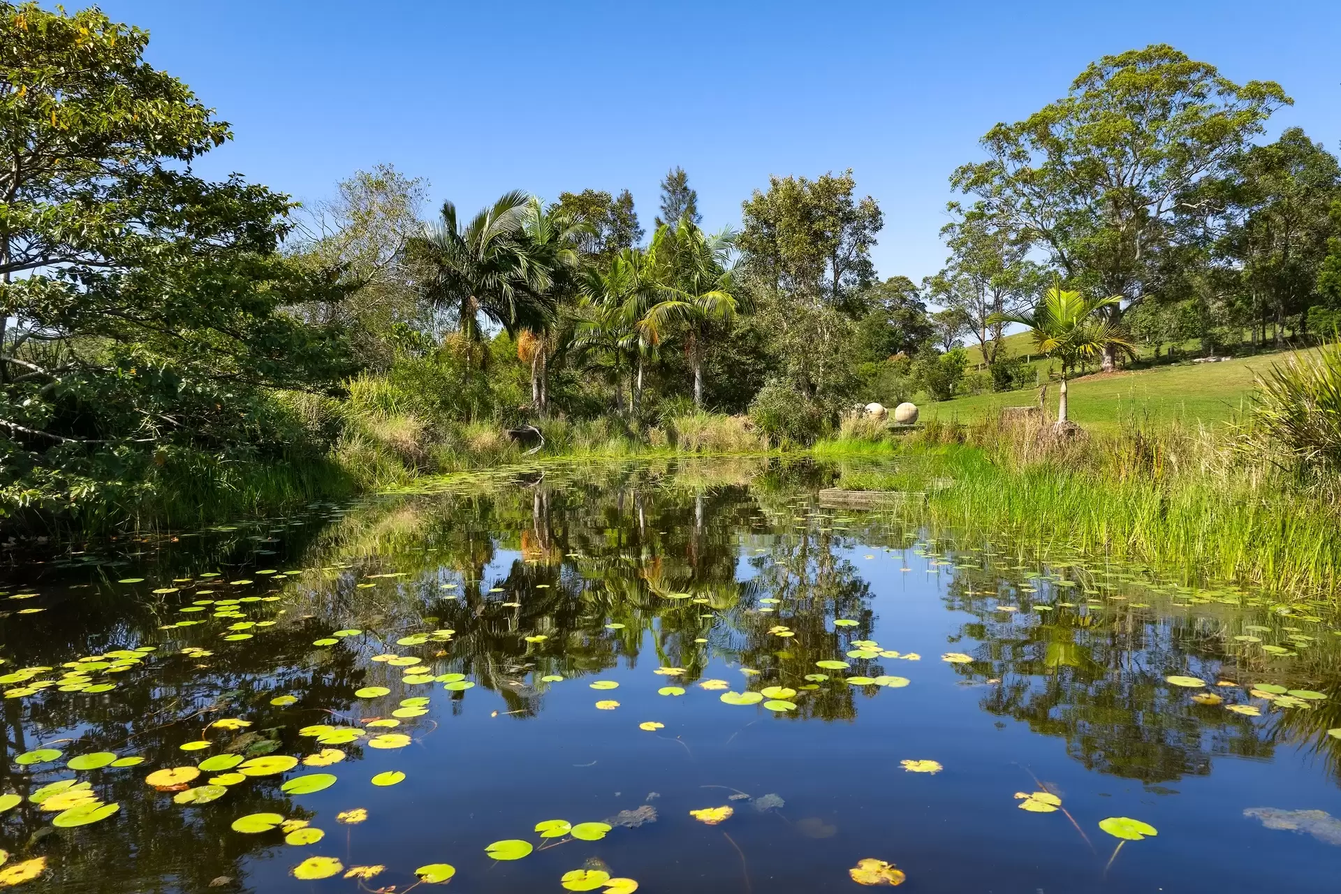 65 Armstrong Lane, Broken Head For Sale by Sydney Sotheby's International Realty - image 31