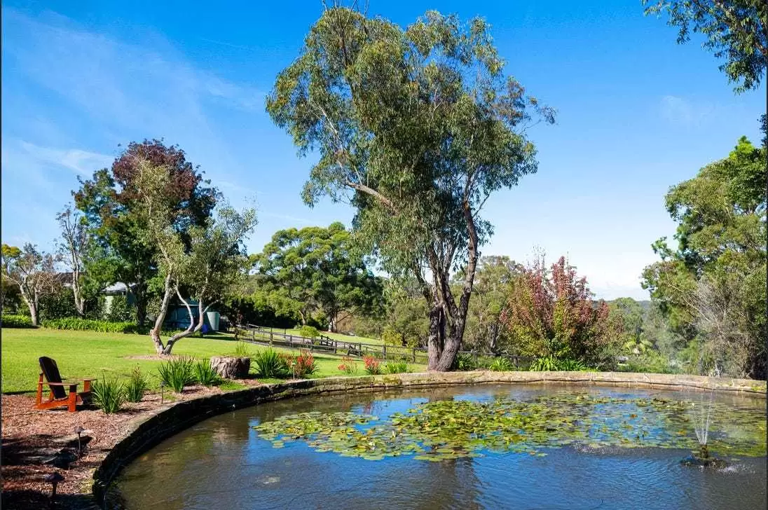 231 Tooronga Road, Terrey Hills For Sale by Sydney Sotheby's International Realty - image 11