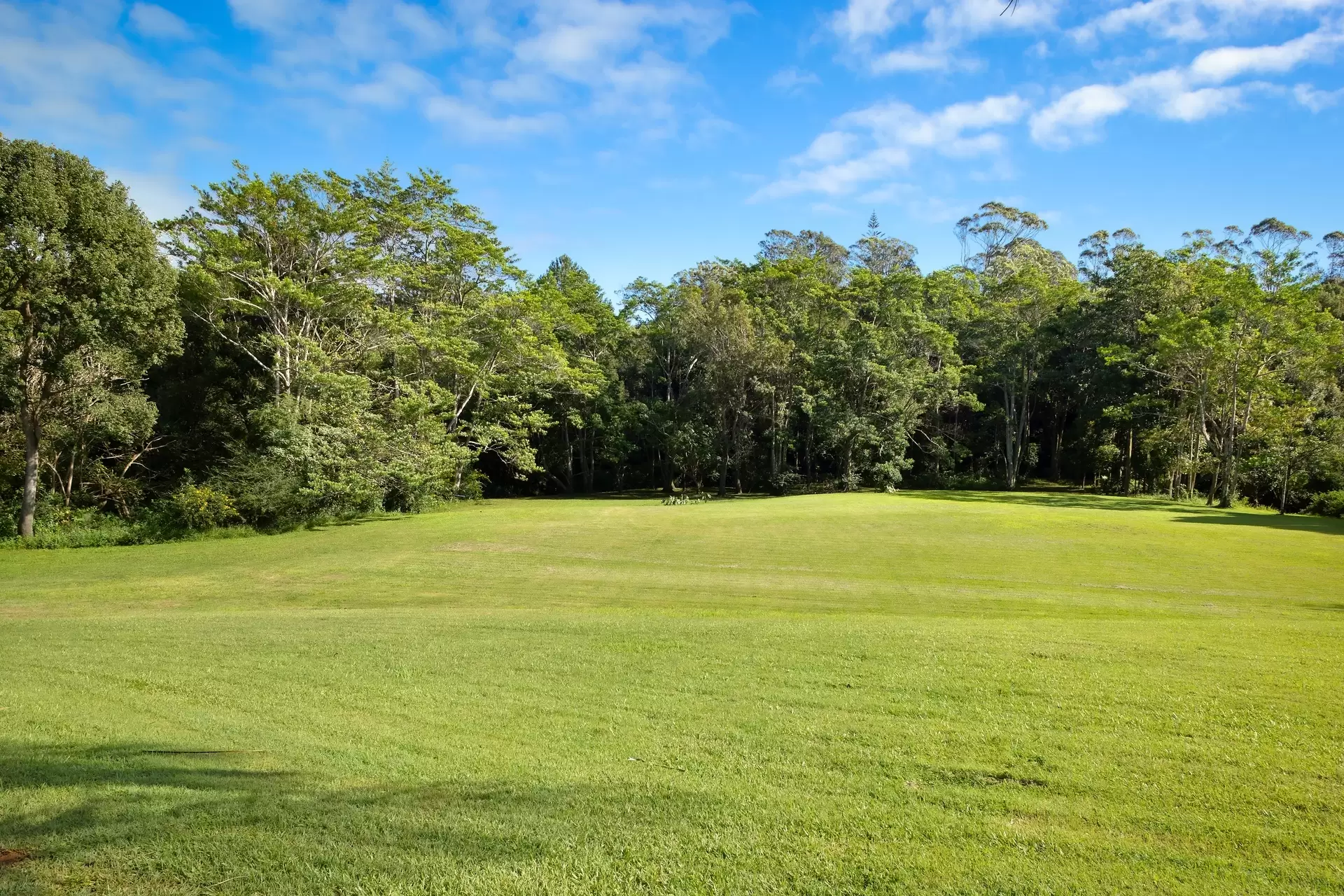 10 Byron Creek Road, Coopers Shoot For Sale by Sydney Sotheby's International Realty - image 19