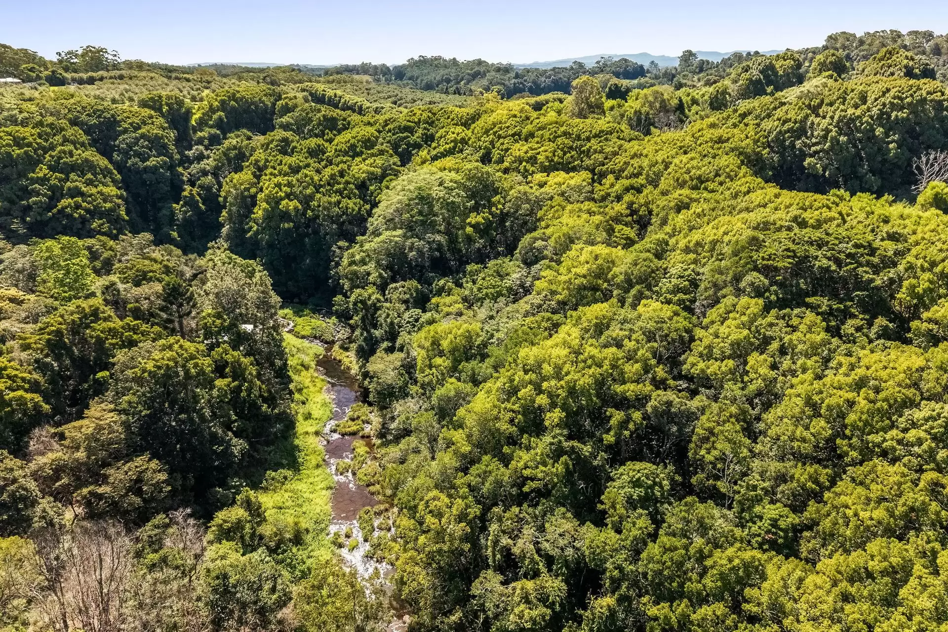 151 Byrnes Lane, Tuckombil For Sale by Sydney Sotheby's International Realty - image 26