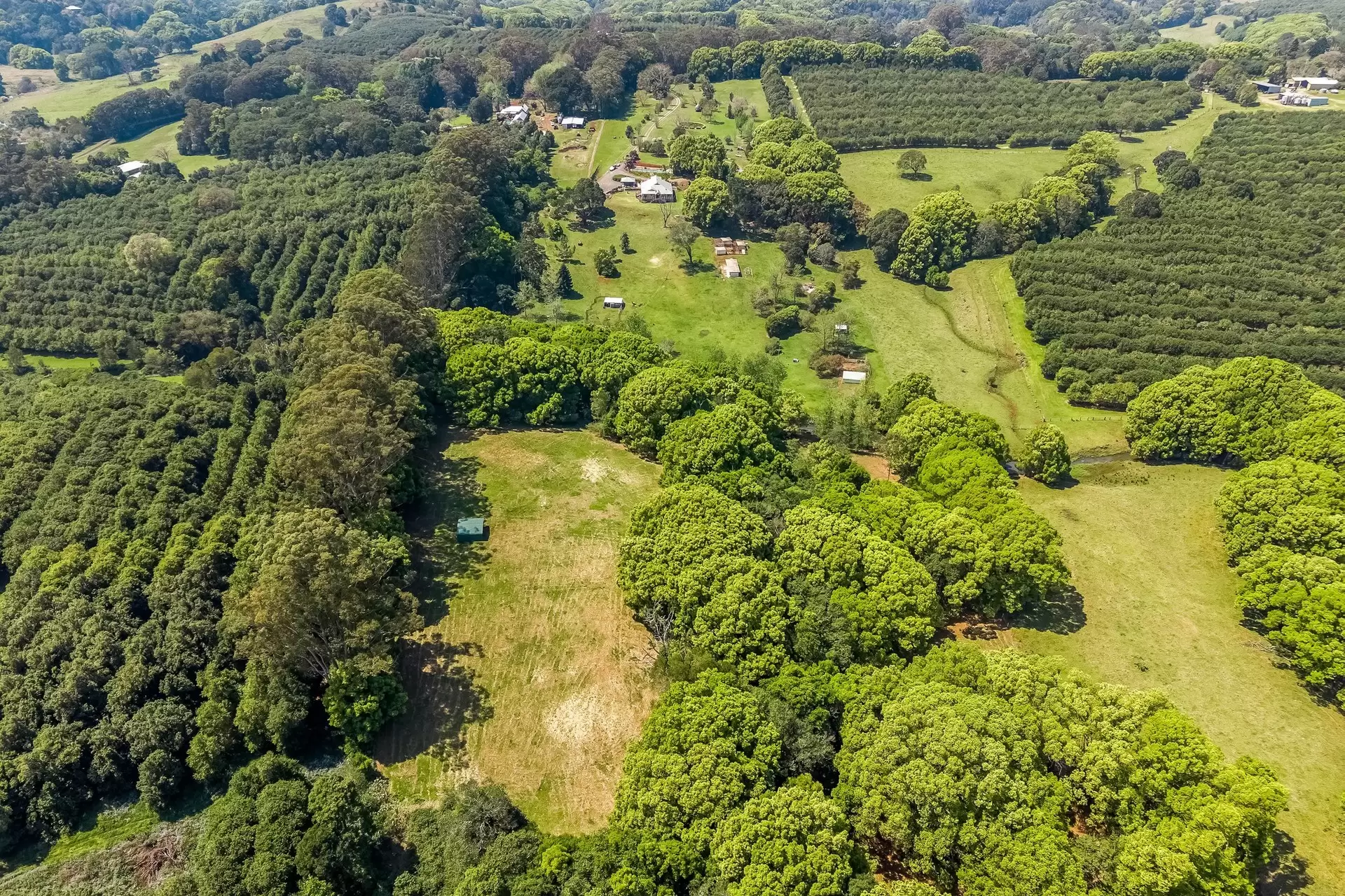 377 Pearces Creek Road, Alstonvale For Sale by Sydney Sotheby's International Realty - image 22