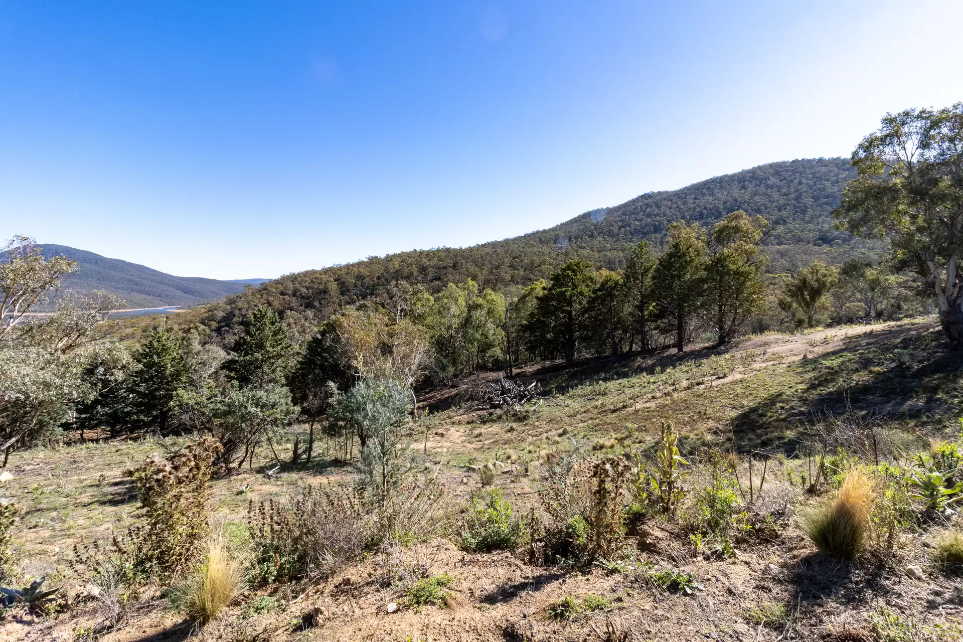 Lot 20, 374 Kalkite Road, Kalkite Auction by Sydney Sotheby's International Realty - image 3