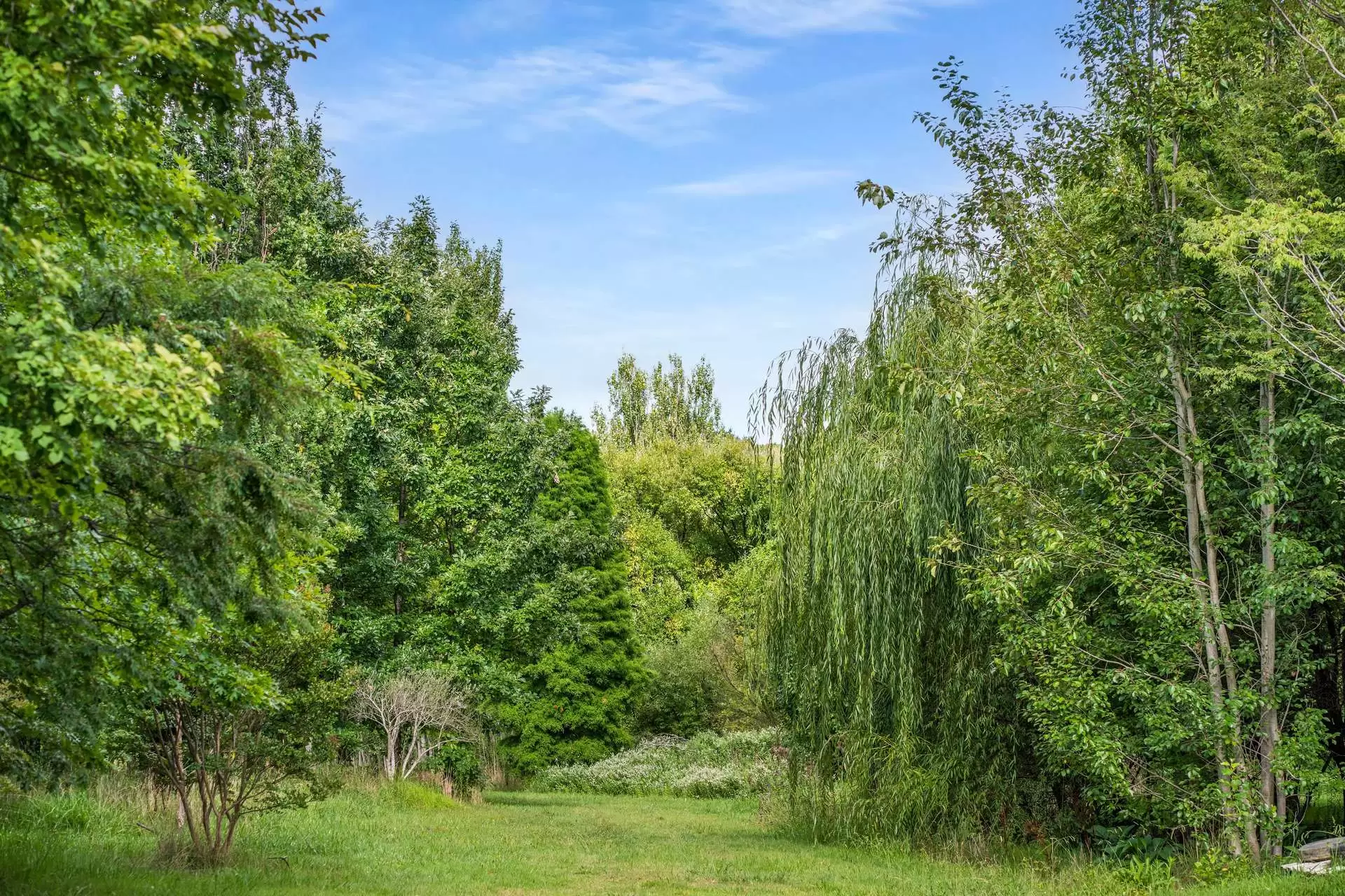 41 Oxleys Hill Road, Bowral For Sale by Sydney Sotheby's International Realty - image 15