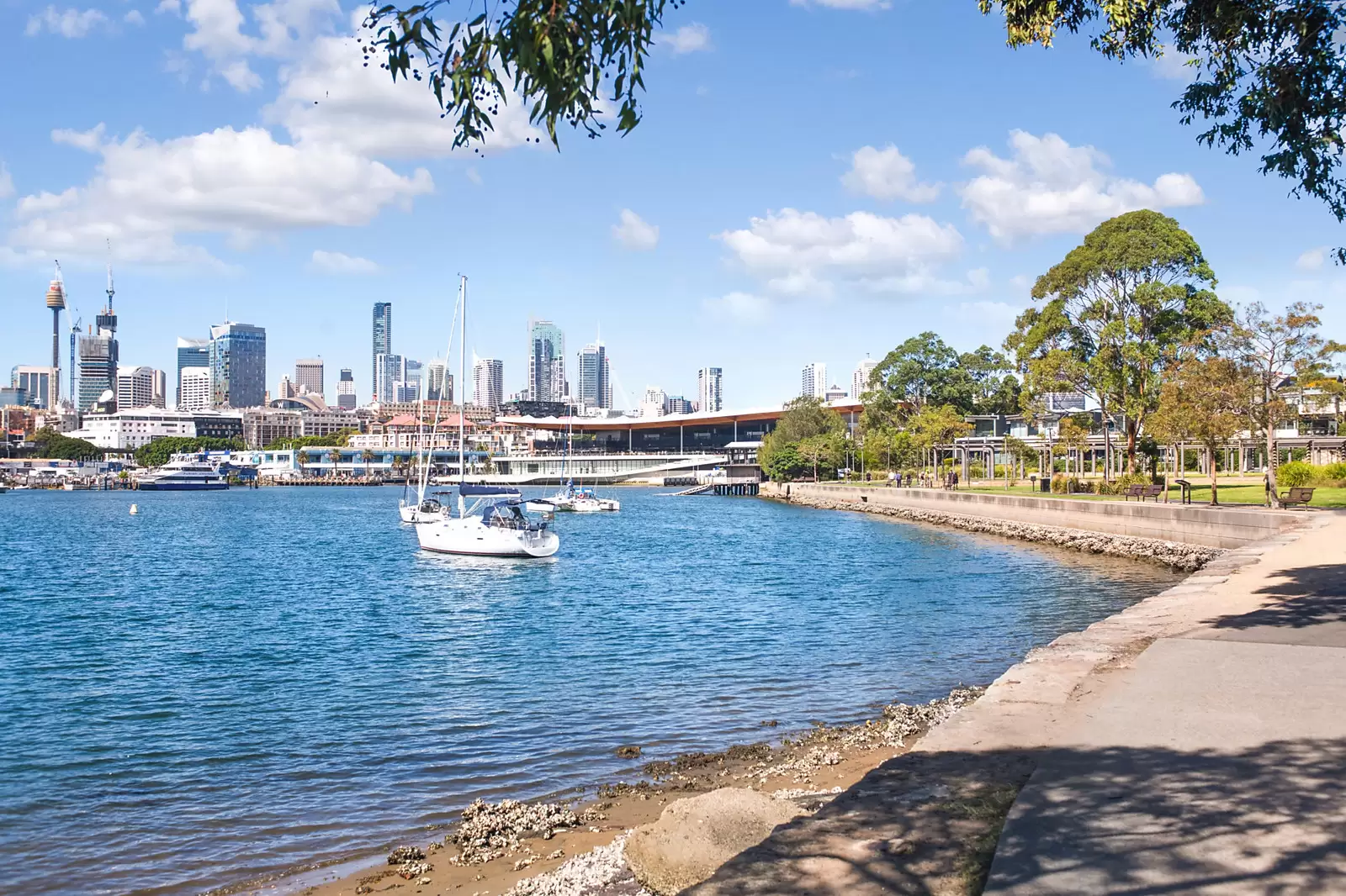 22/29-31 Cook Street, Glebe For Sale by Sydney Sotheby's International Realty - image 9