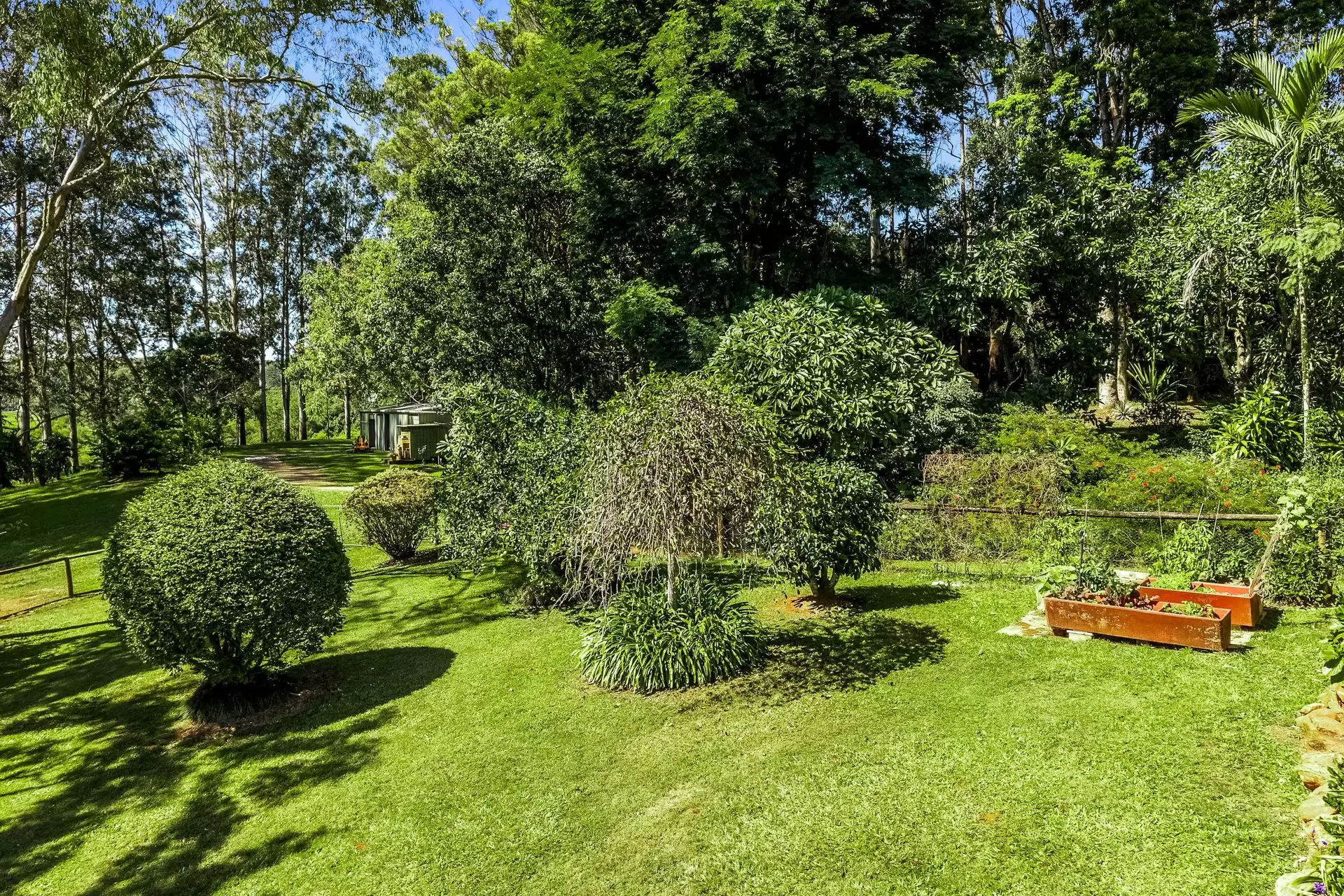 120 Alstonvale Road, Alstonvale Auction by Sydney Sotheby's International Realty - image 23