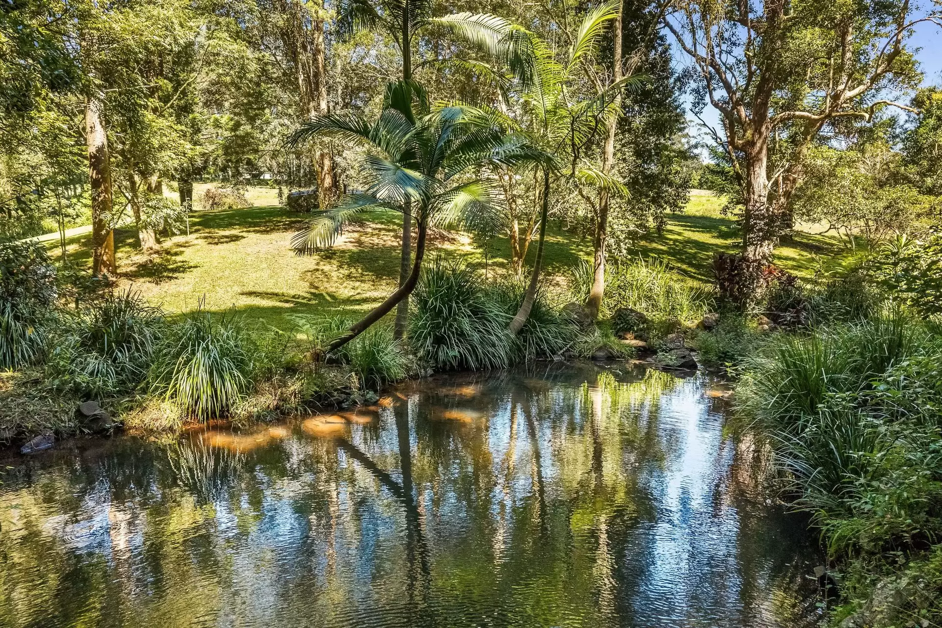 120 Alstonvale Road, Alstonvale Auction by Sydney Sotheby's International Realty - image 3