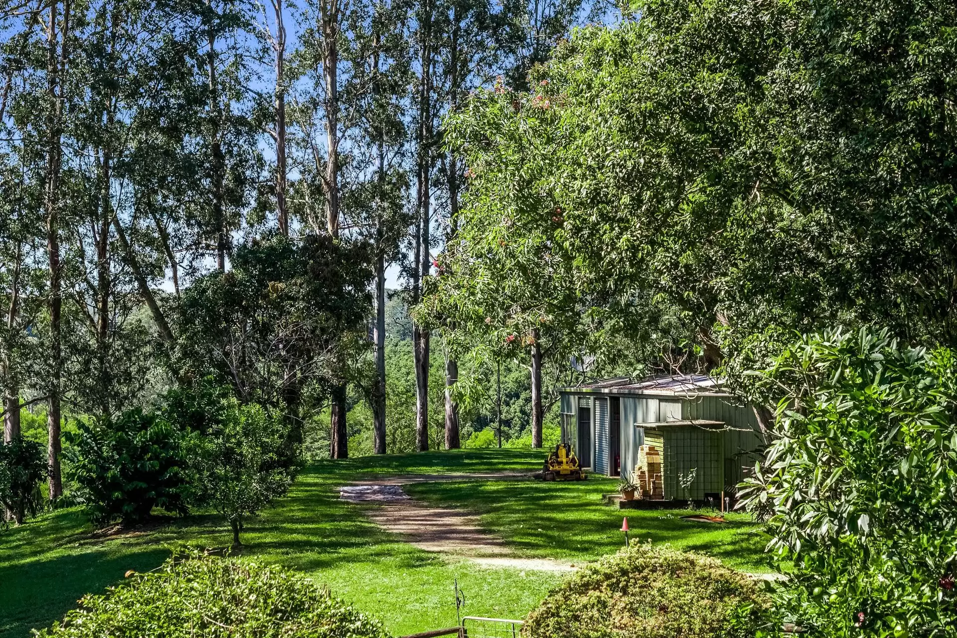 120 Alstonvale Road, Alstonvale Auction by Sydney Sotheby's International Realty - image 26