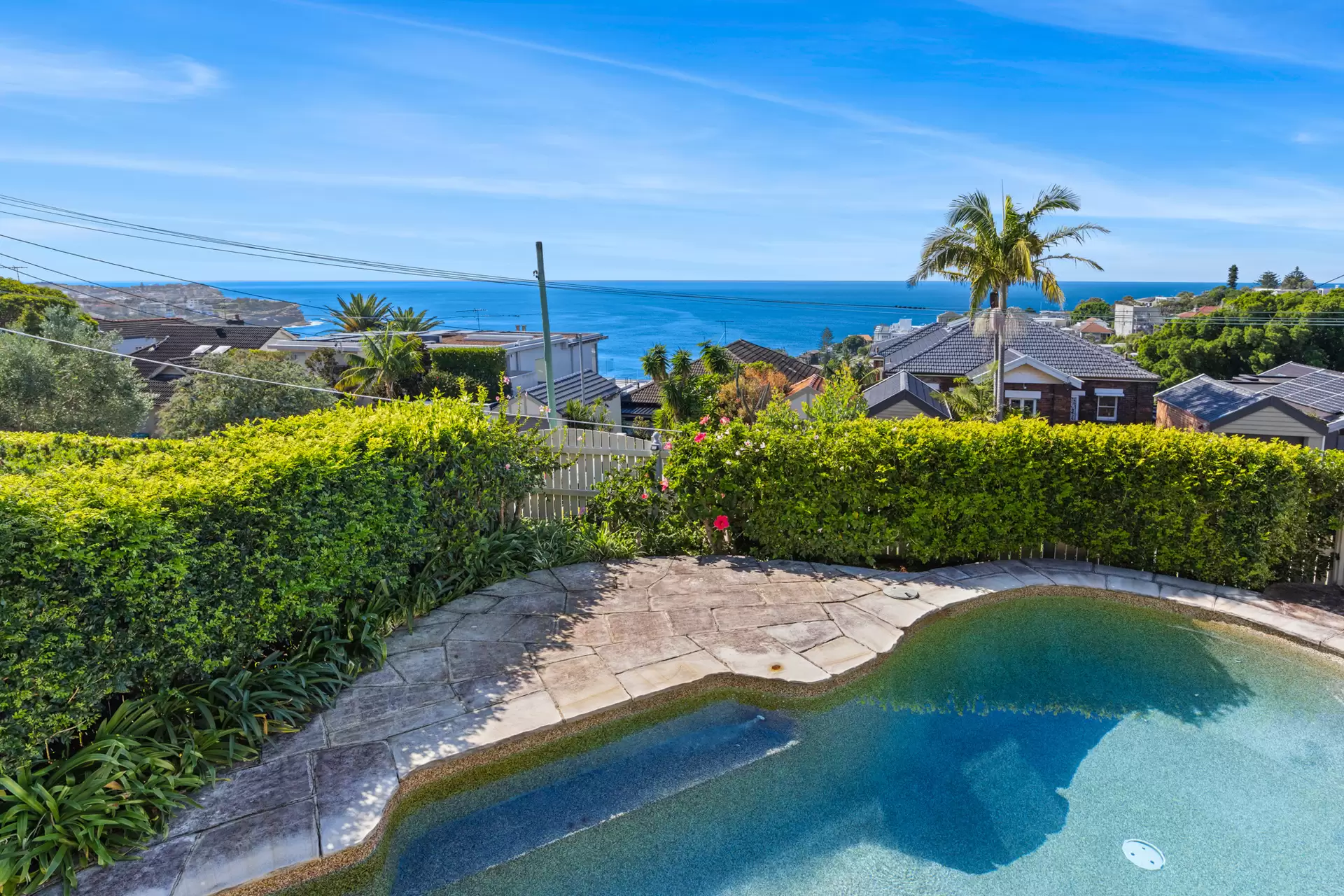 19 St Thomas Street, Bronte Auction by Sydney Sotheby's International Realty - image 15