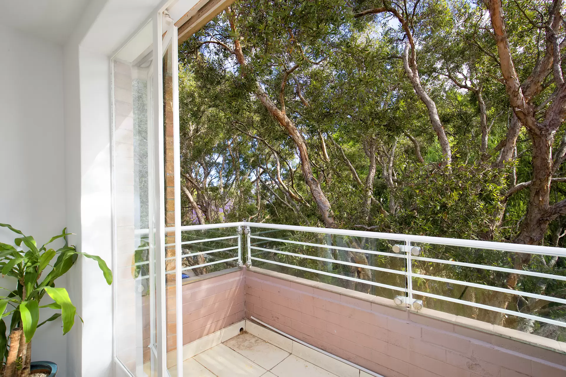 7/9 Guilfoyle Avenue, Double Bay For Lease by Sydney Sotheby's International Realty - image 1