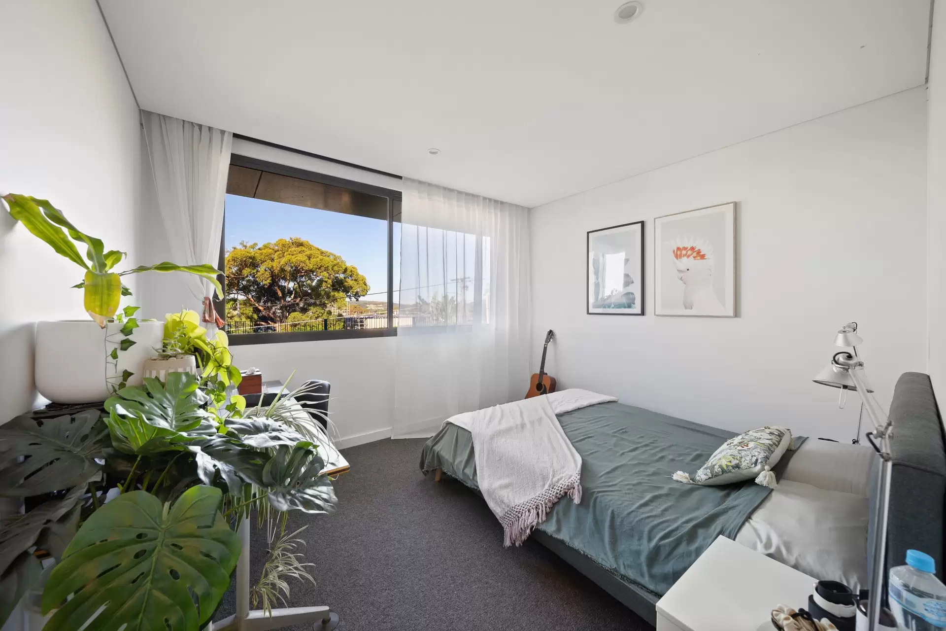 7 Tutus Street, Balgowlah Heights For Sale by Sydney Sotheby's International Realty - image 26