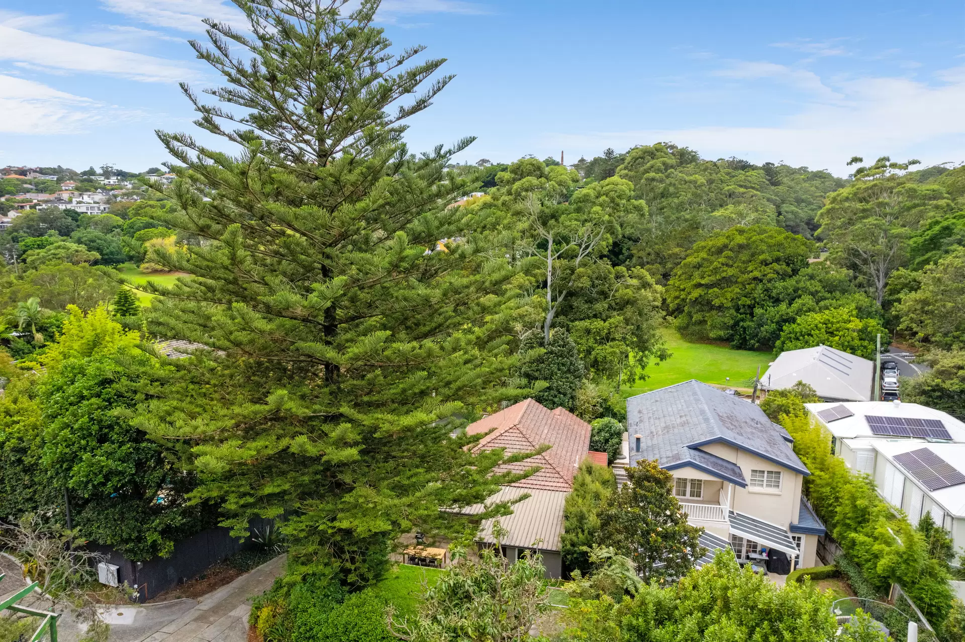 115 Manning Road, Woollahra Auction by Sydney Sotheby's International Realty - image 1