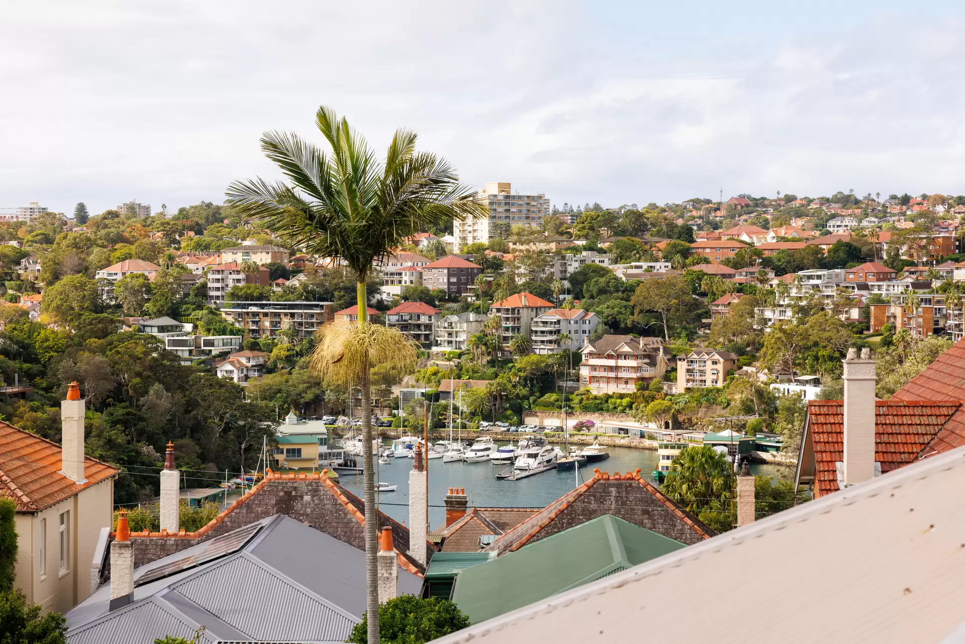 123 Cremorne Road, Cremorne Point Auction by Sydney Sotheby's International Realty - image 1