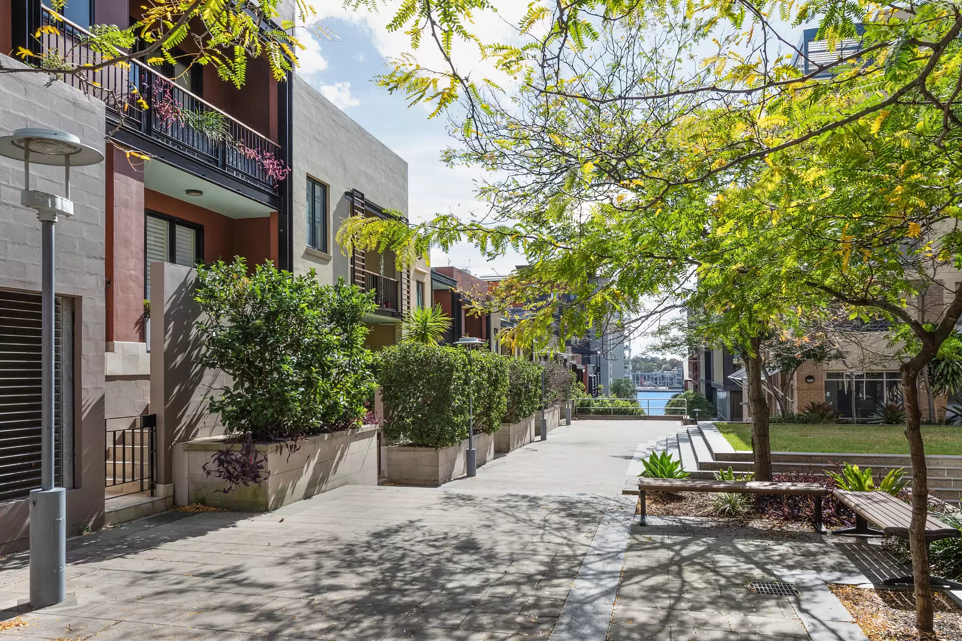 33 Mount Street Walk, Pyrmont Auction by Sydney Sotheby's International Realty - image 1