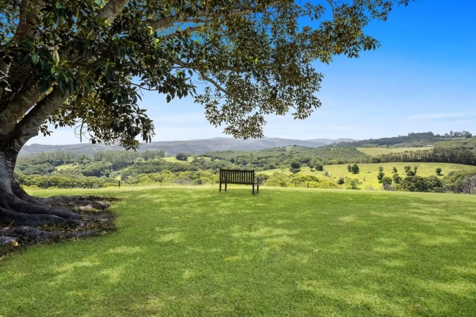 189 Federal Drive, Federal For Sale by Sydney Sotheby's International Realty - image 2