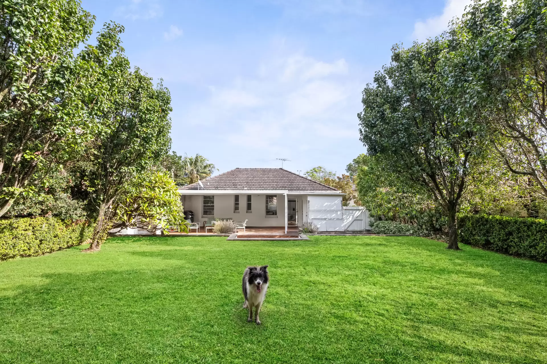 145 Moverly Road, South Coogee For Sale by Sydney Sotheby's International Realty - image 3
