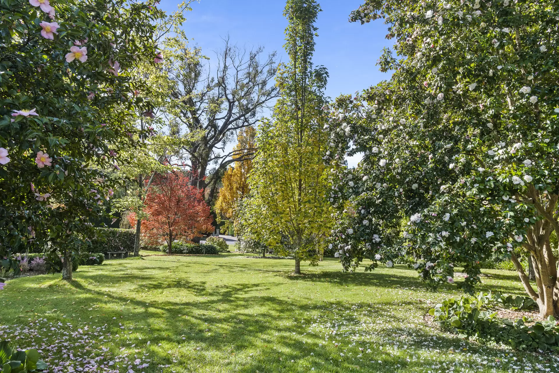 44 Centennial Road, Bowral For Sale by Sydney Sotheby's International Realty - image 20